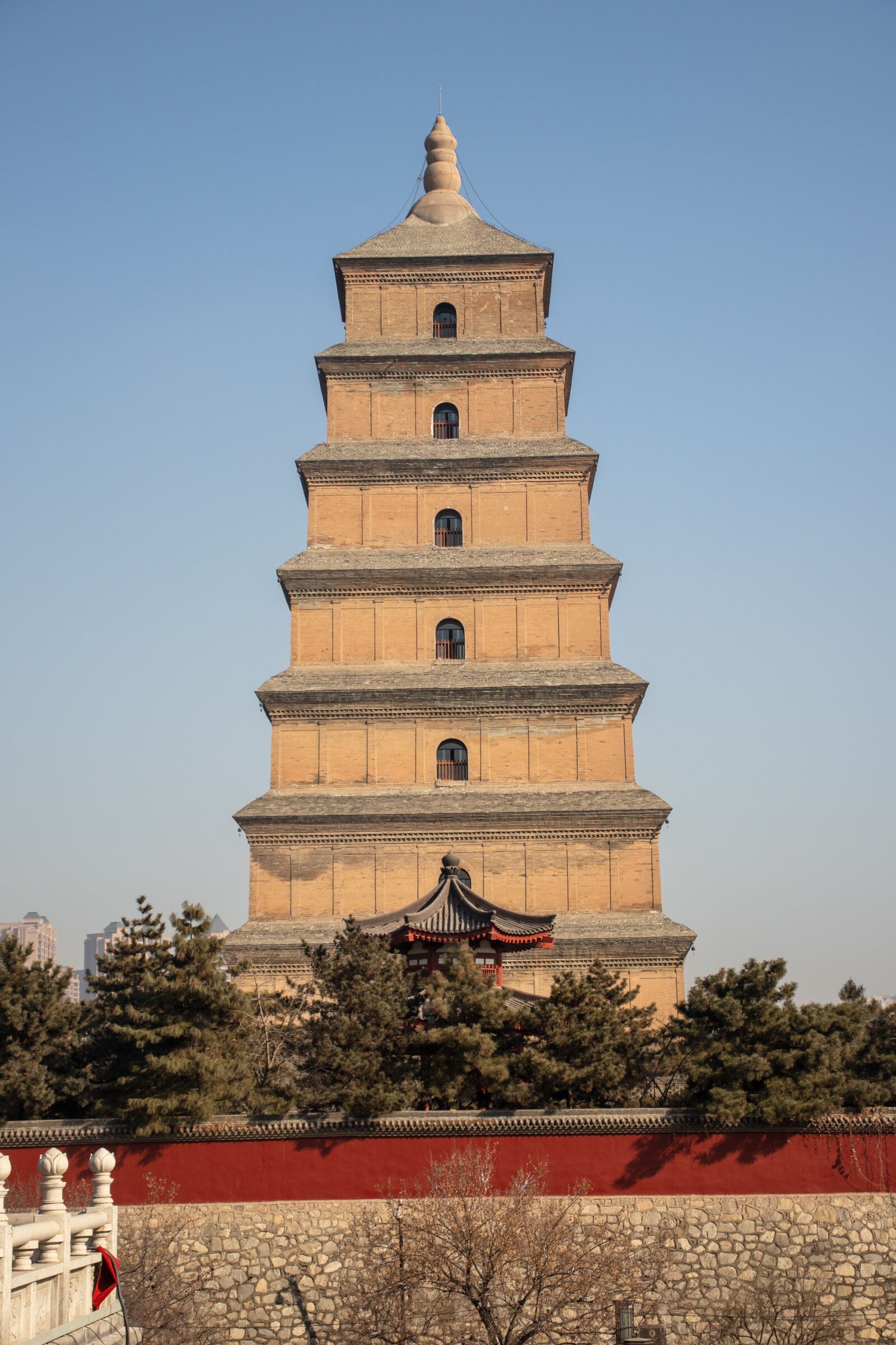 Canon EOS 200D (EOS Rebel SL2 / EOS Kiss X9) sample photo. China, xi'an, wild goose photography