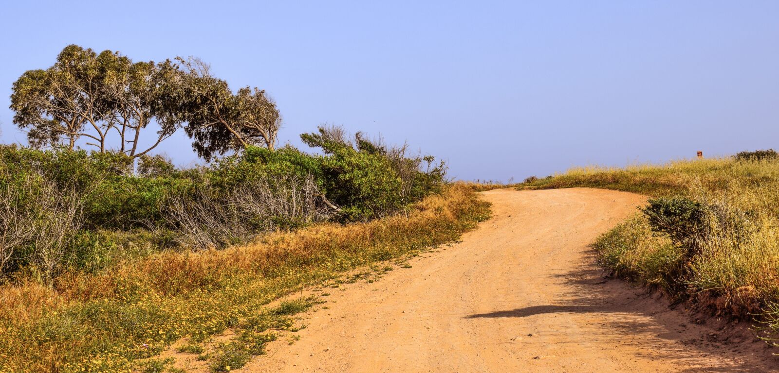 Nikon D3300 sample photo. Dirt road, trees, landscape photography