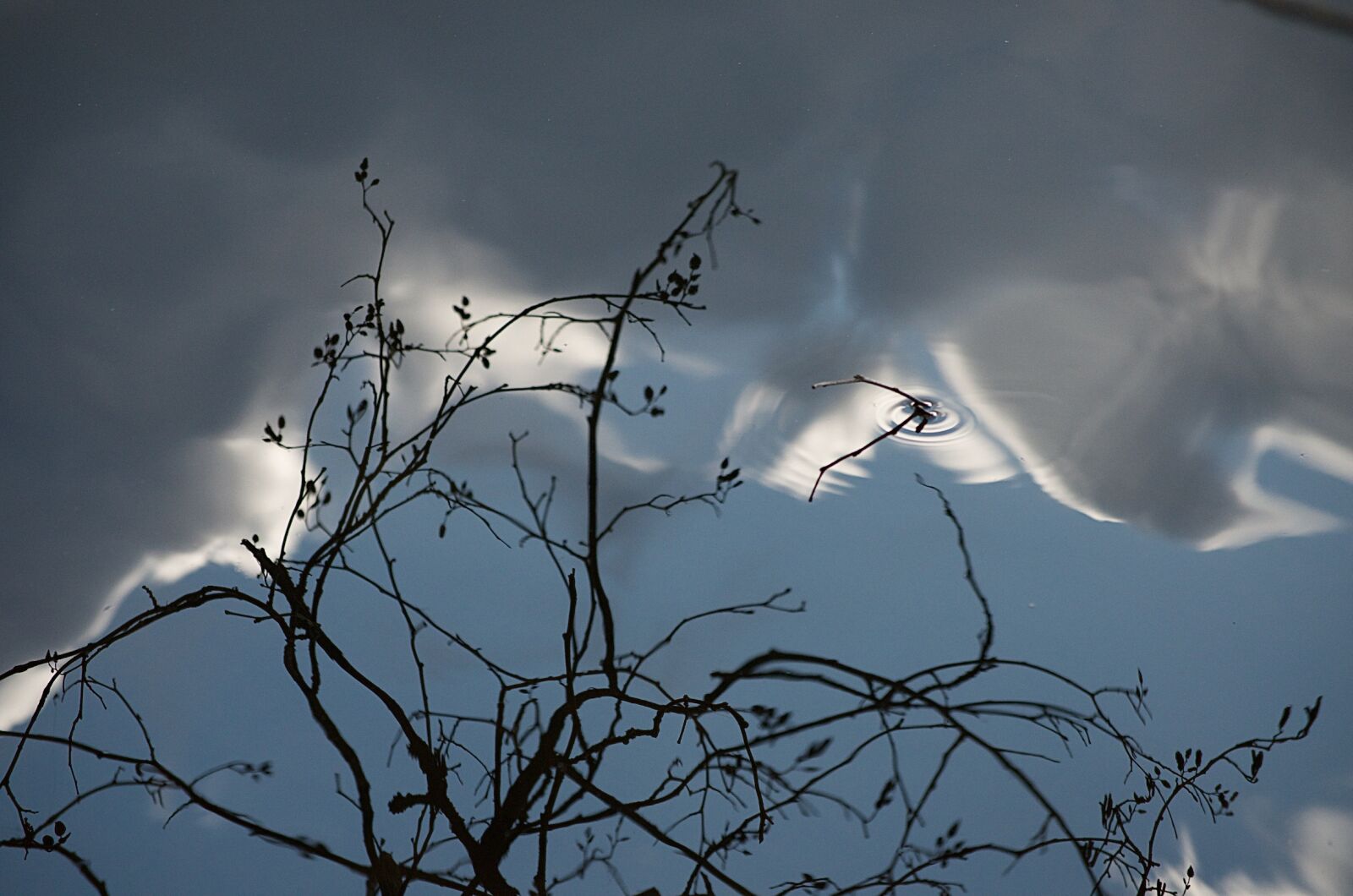Nikon D7000 sample photo. Reflection, trees, water photography