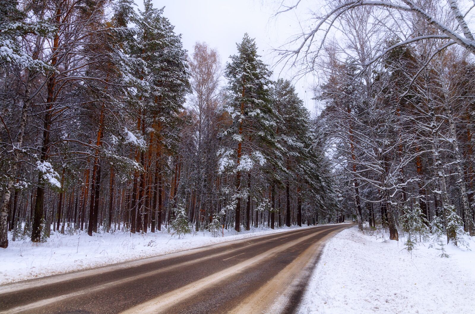 Pentax K-500 sample photo. Winter, road, forest photography