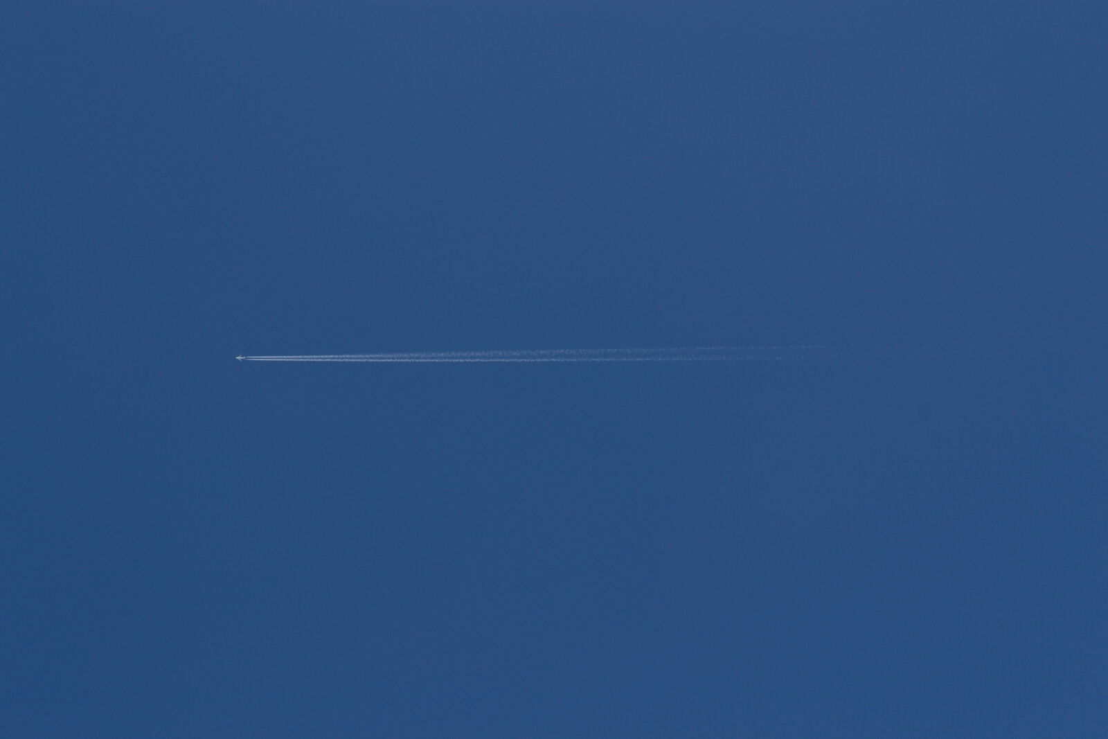 Nikon D3100 sample photo