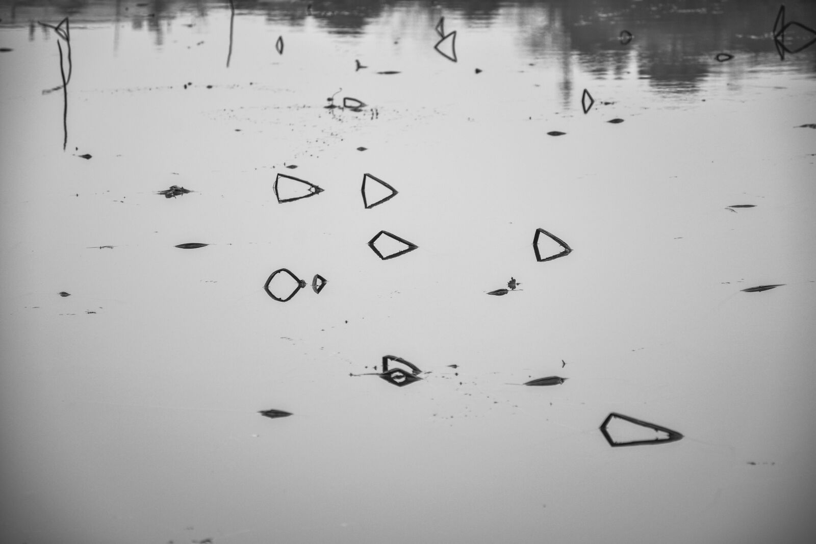 Nikon D7100 sample photo. Water, symbol, abstract photography