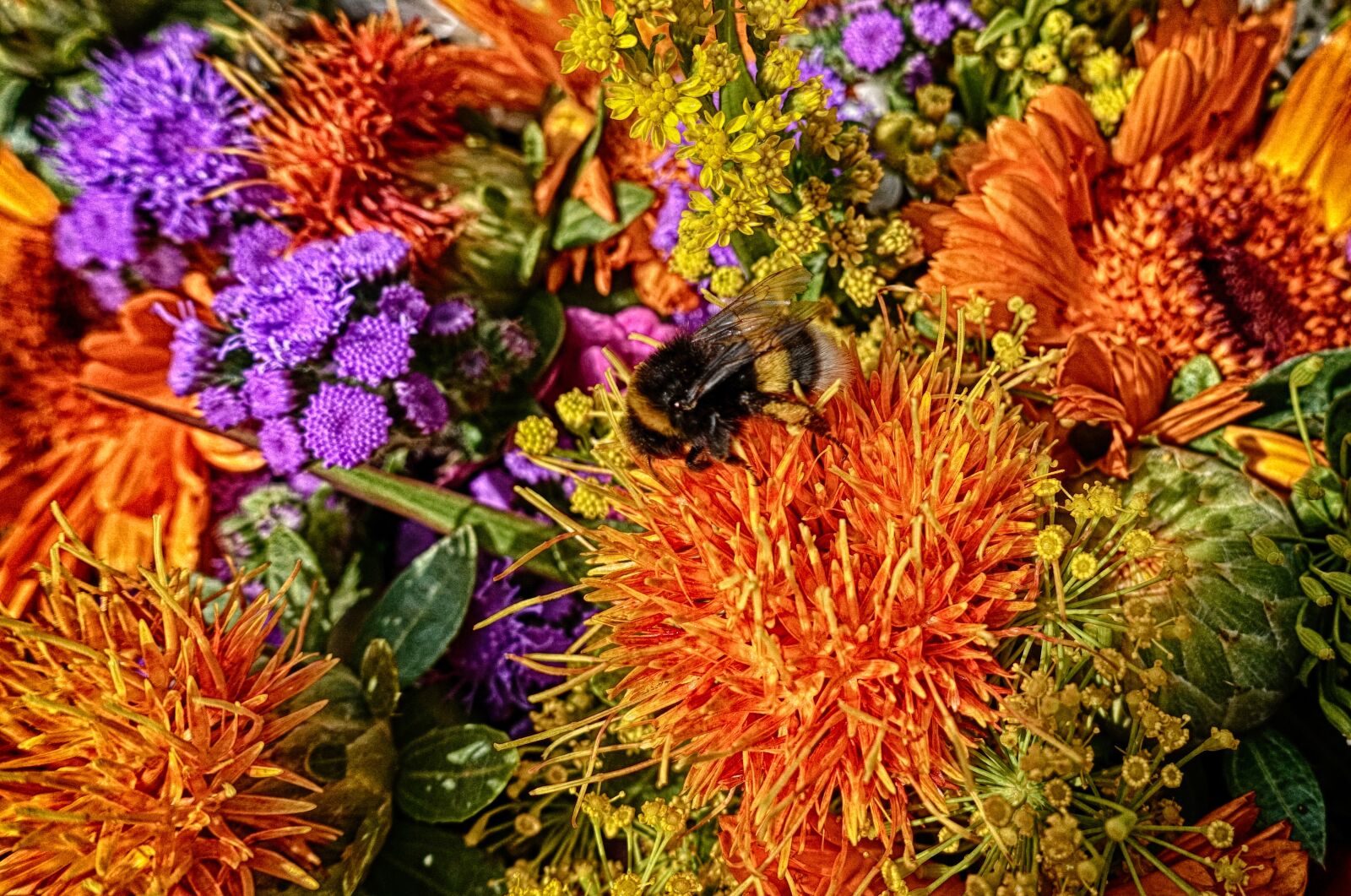 Sony DSC-RX100M5 sample photo. Flowers, summer, colorful photography
