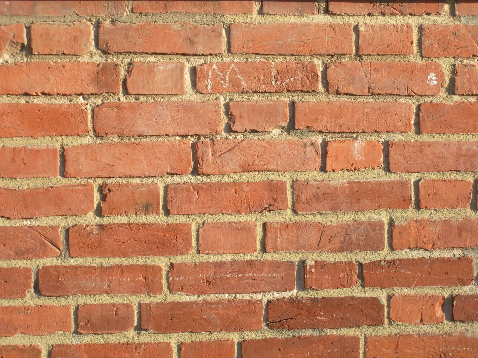 Nikon Coolpix S550 sample photo. Brick wall, brick, brick photography