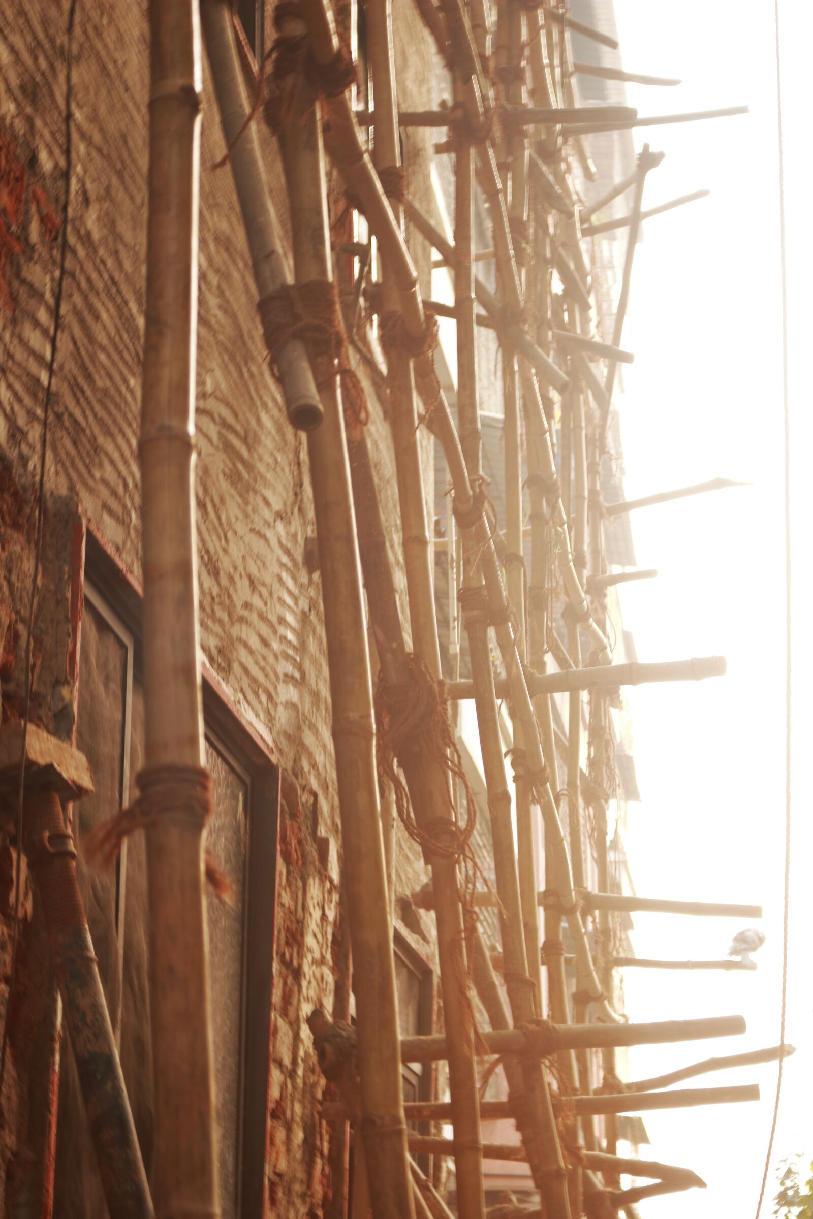 Canon EOS 750D (EOS Rebel T6i / EOS Kiss X8i) sample photo. Bamboo, repair, construction photography