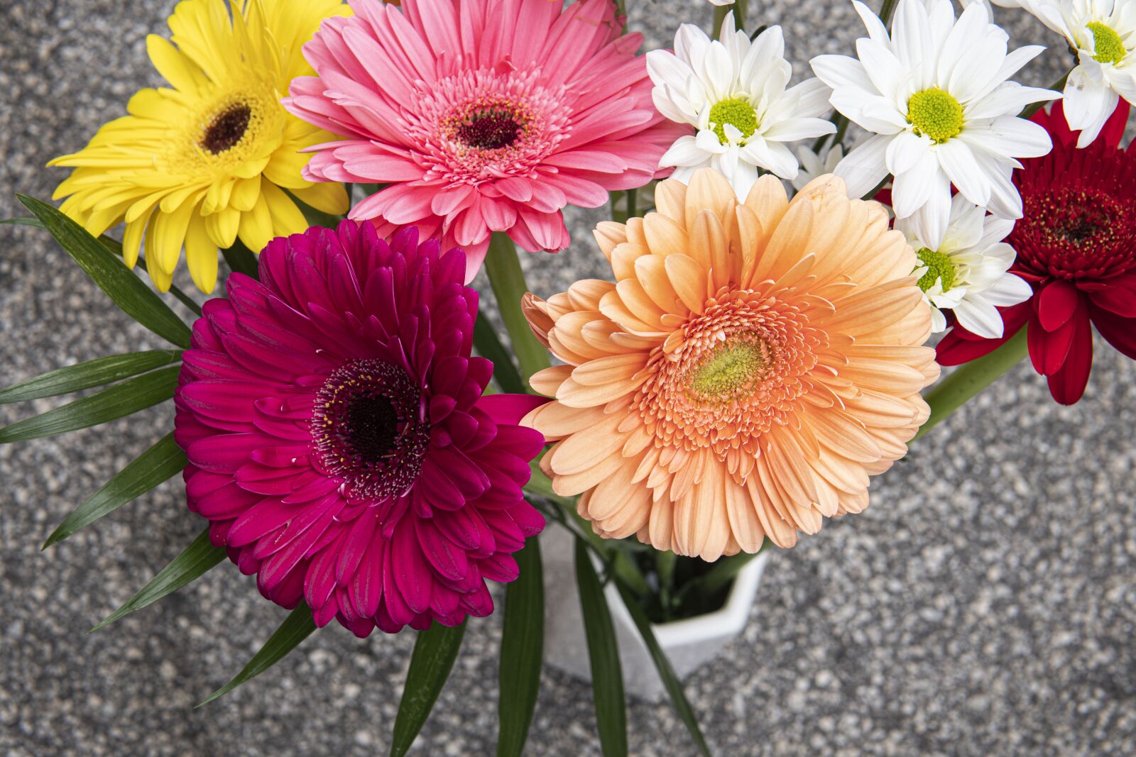 30mm F1.4 DC DN | Contemporary 016 sample photo. Flowers, bouquet, petals photography