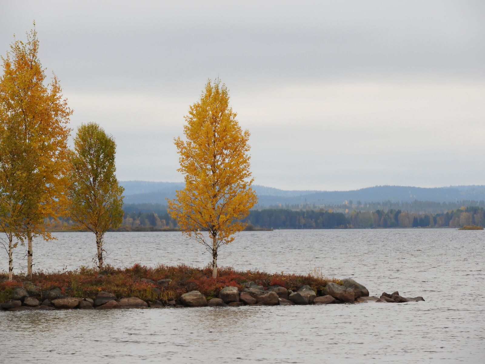 Nikon Coolpix B700 sample photo. Nature, yellow, lake photography