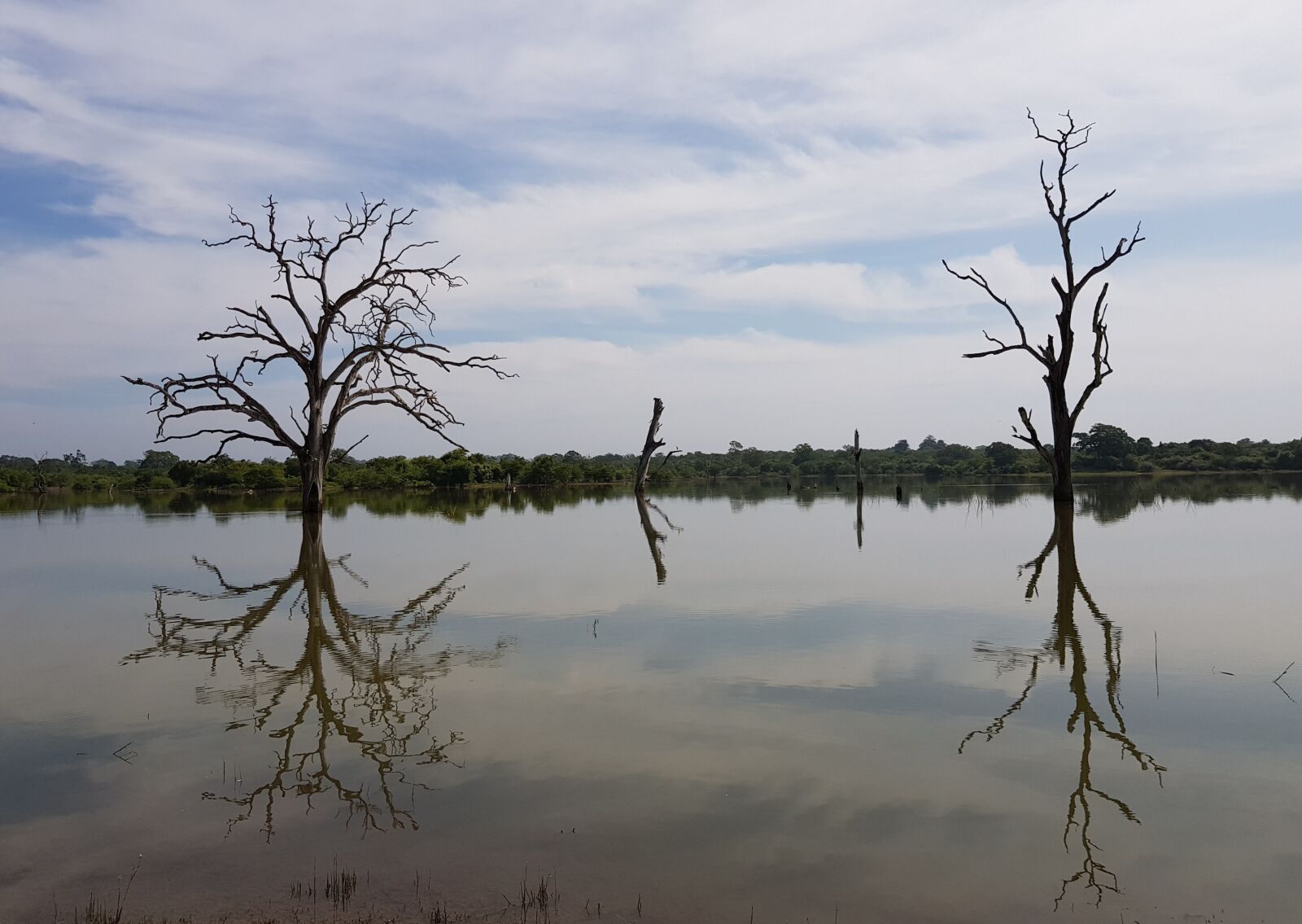 Samsung Galaxy S8 sample photo. Lake, sri lanka, water photography