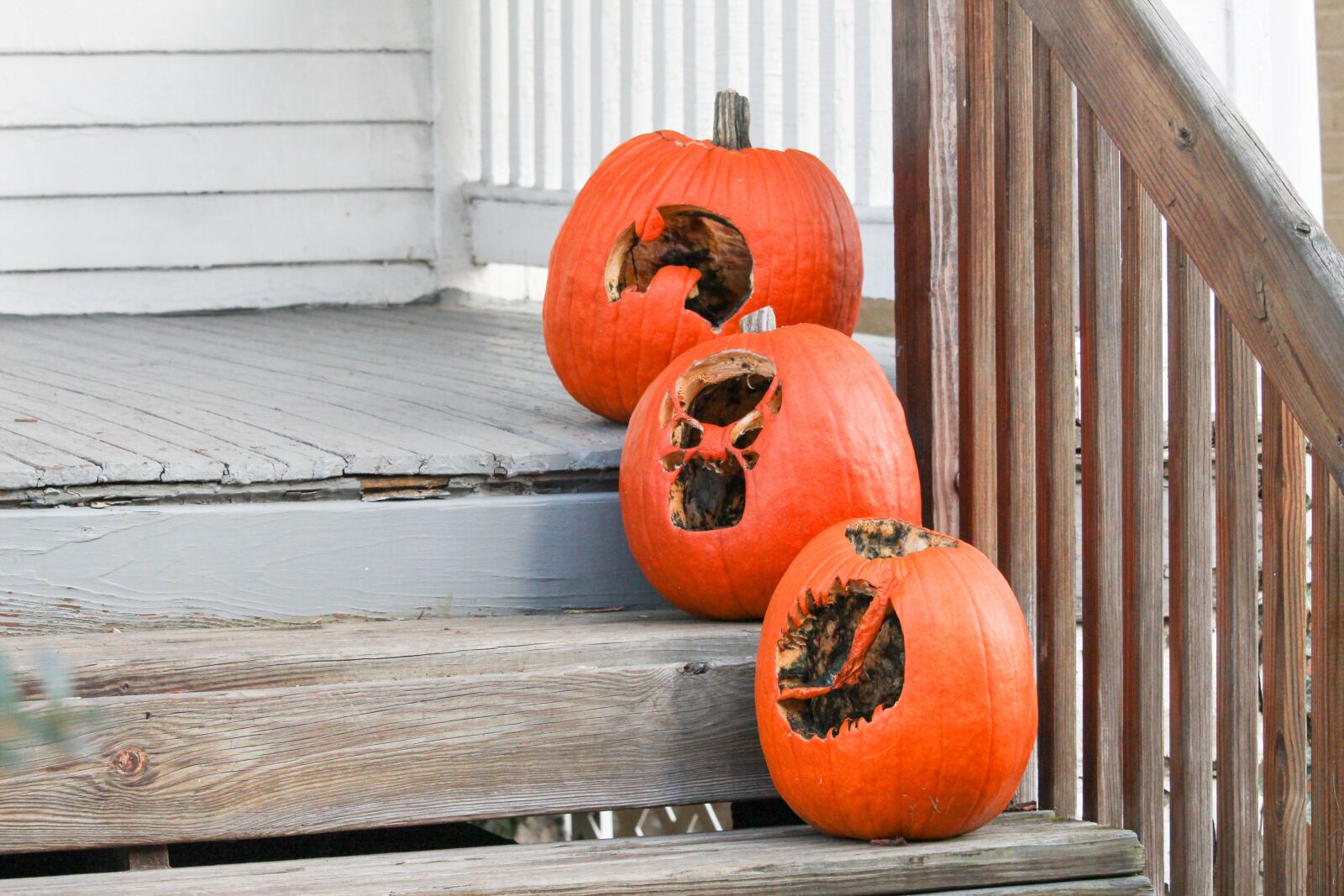 Canon EOS 700D (EOS Rebel T5i / EOS Kiss X7i) sample photo. Wooden, wood, pumpkin photography