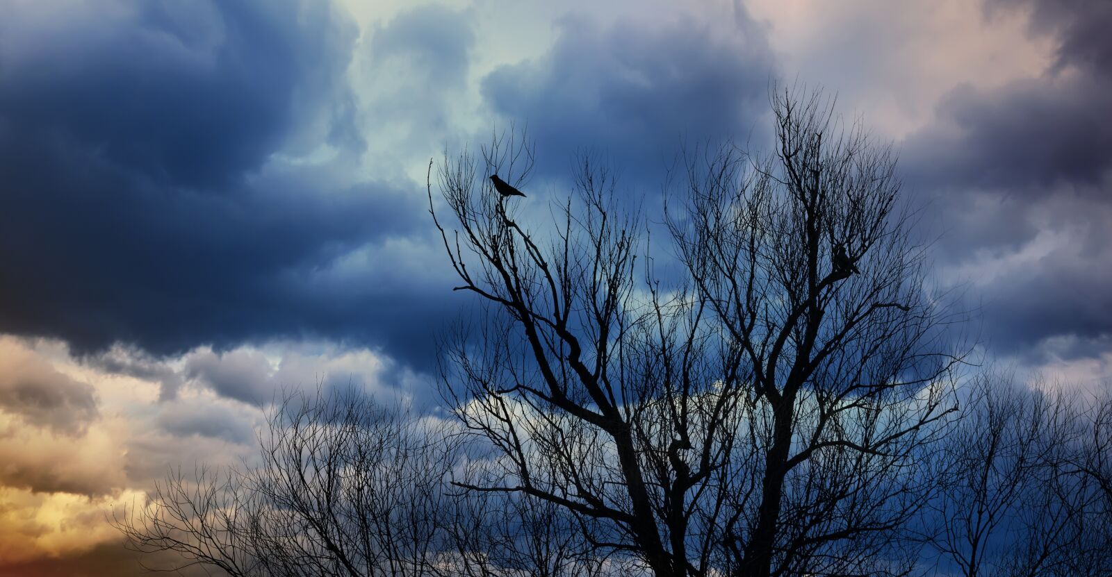 Sony FE 70-200mm F4 G OSS sample photo. Nature, tree, landscape photography