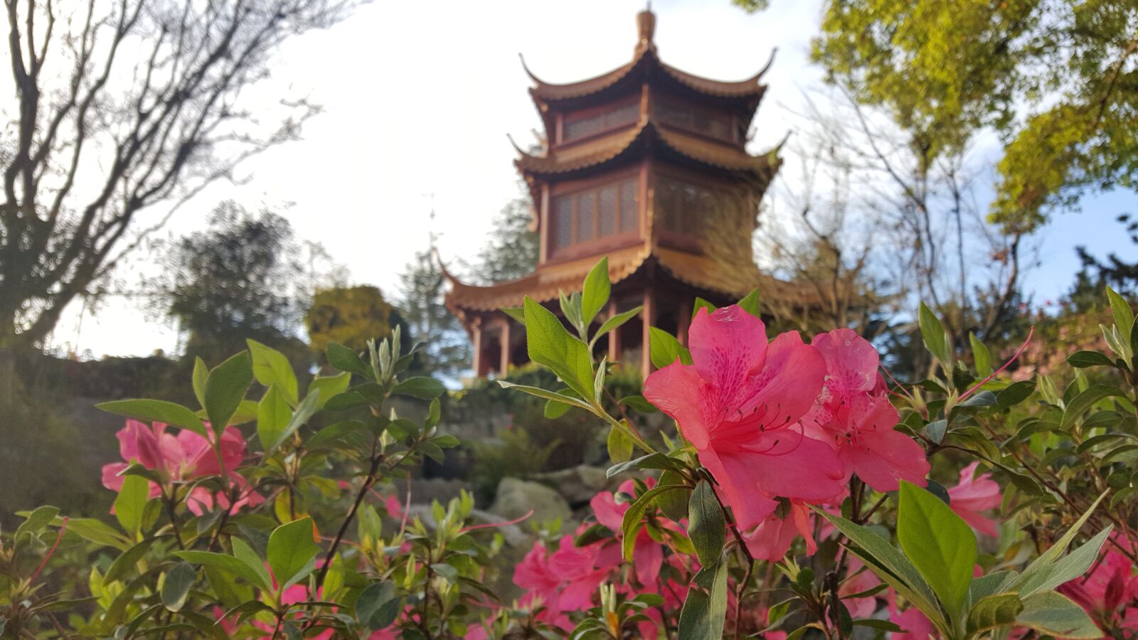 Samsung Galaxy S6 sample photo. China, chinese garden, architecture photography