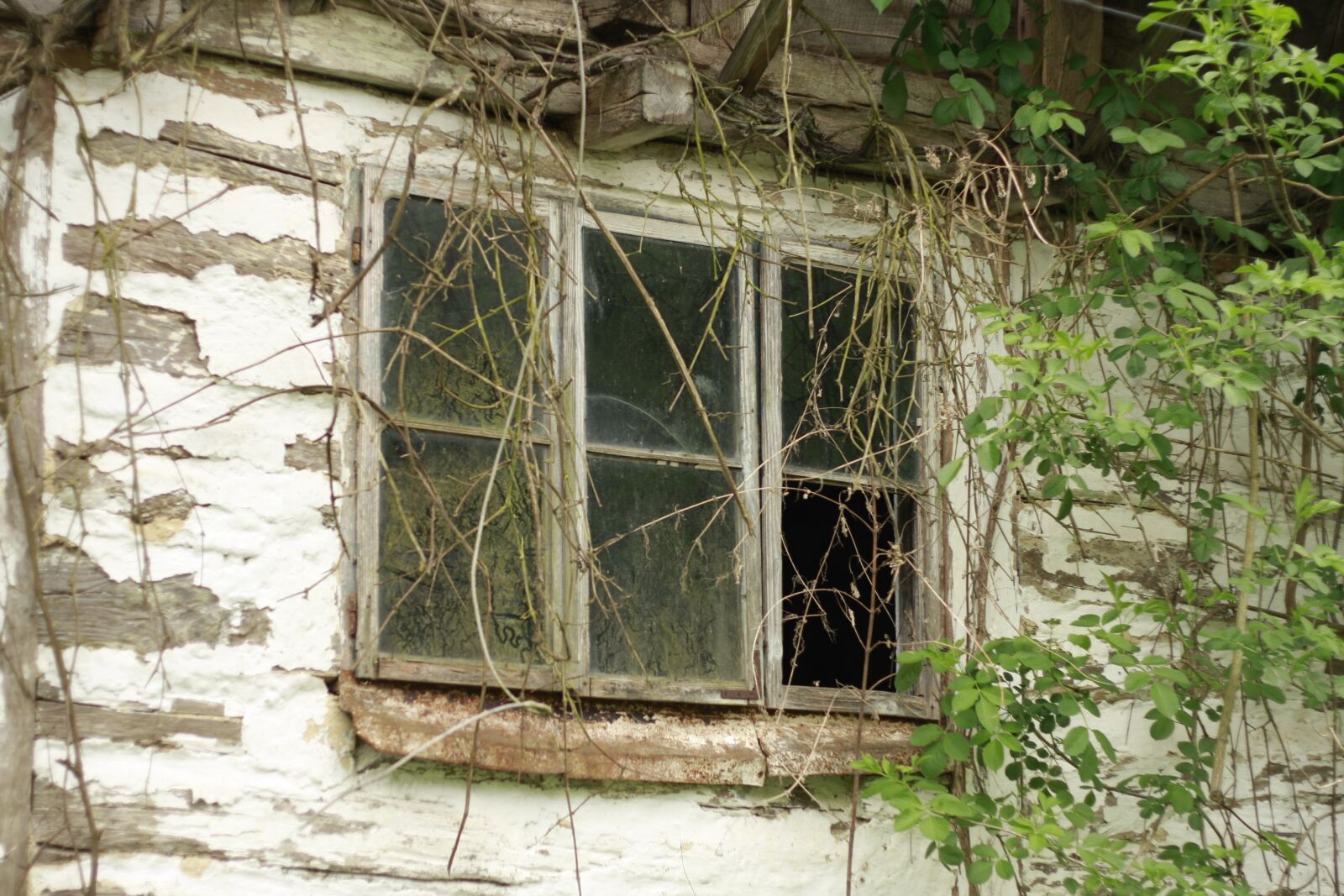 Canon EOS 40D sample photo. Window, old, glass photography