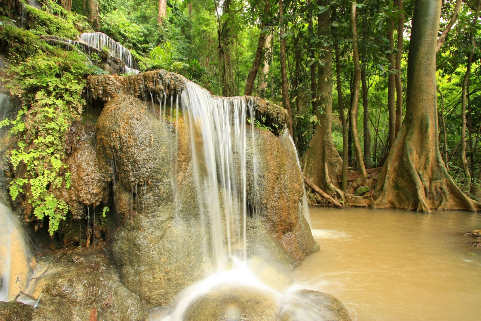 Canon EOS 450D (EOS Rebel XSi / EOS Kiss X2) sample photo. Waterfall, nature, green photography