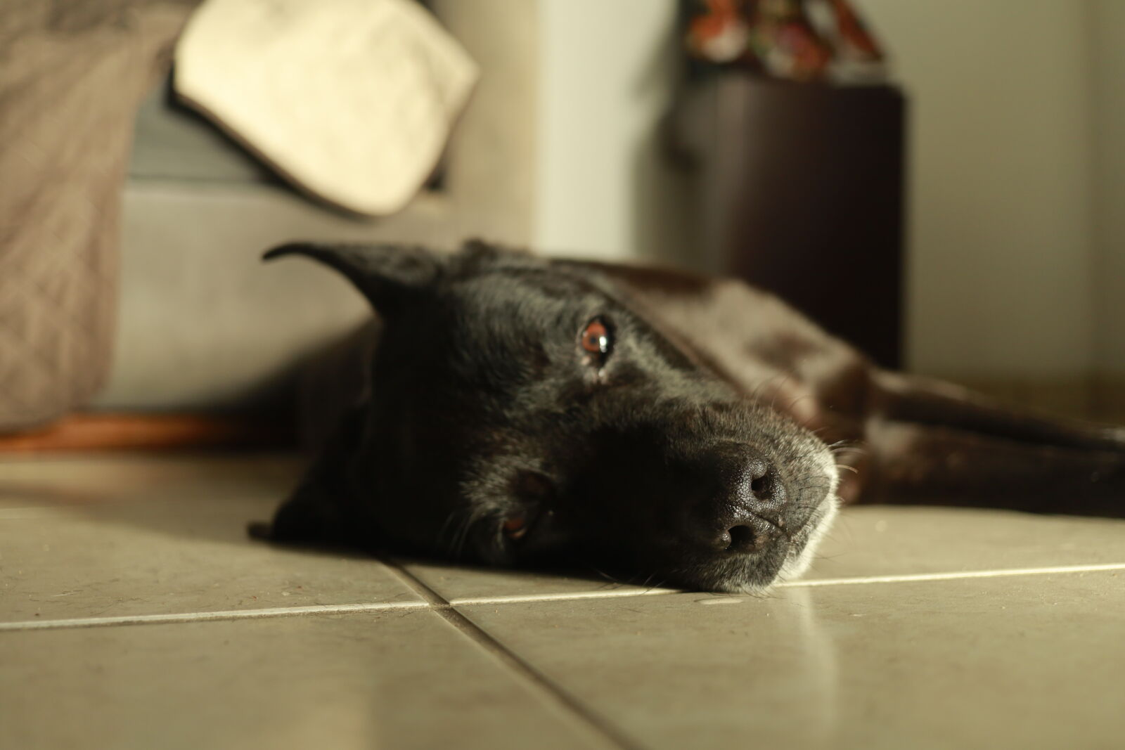 Canon EF 40mm F2.8 STM sample photo