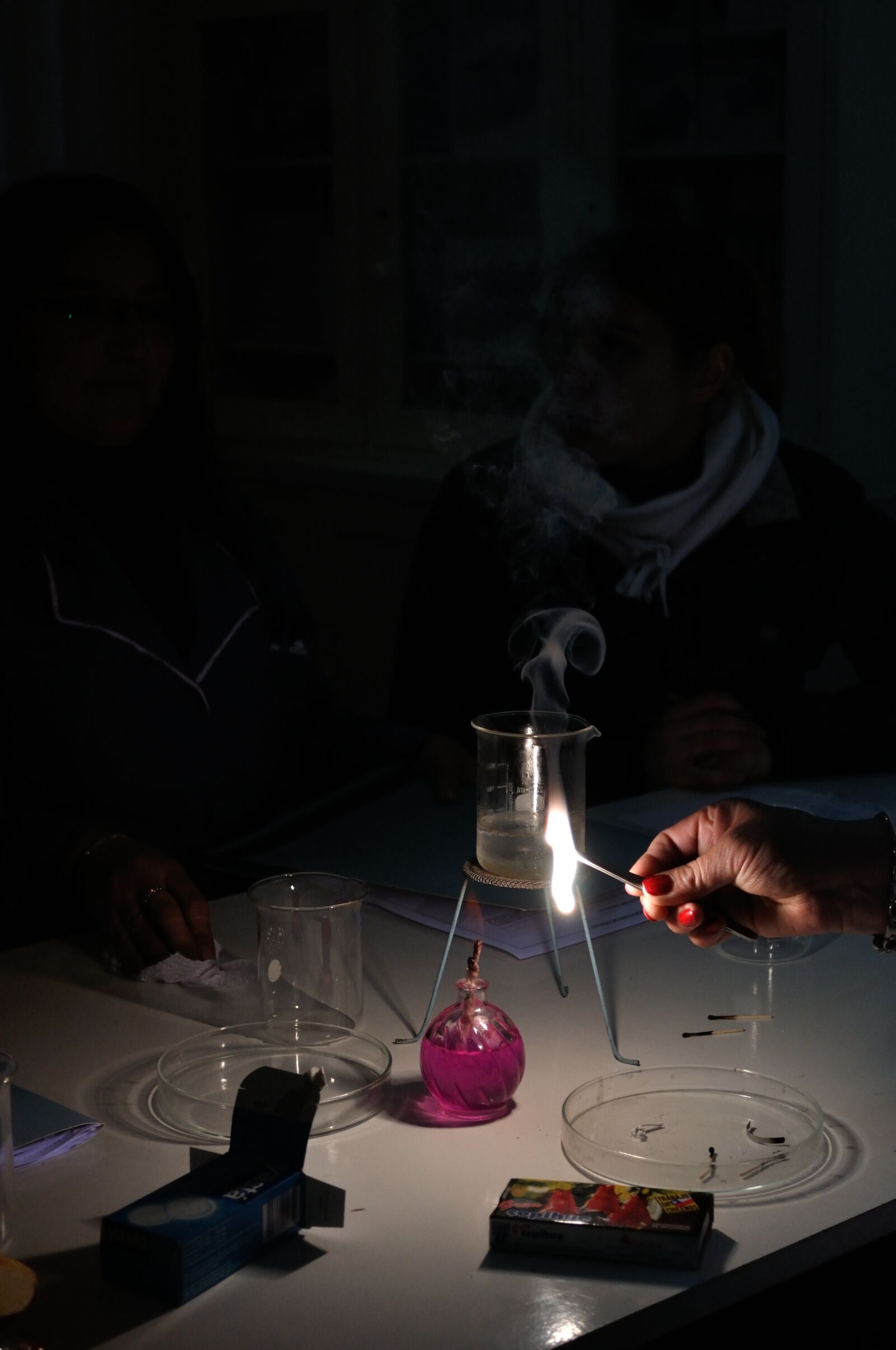 Nikon D5000 sample photo. Science, flame, lab photography