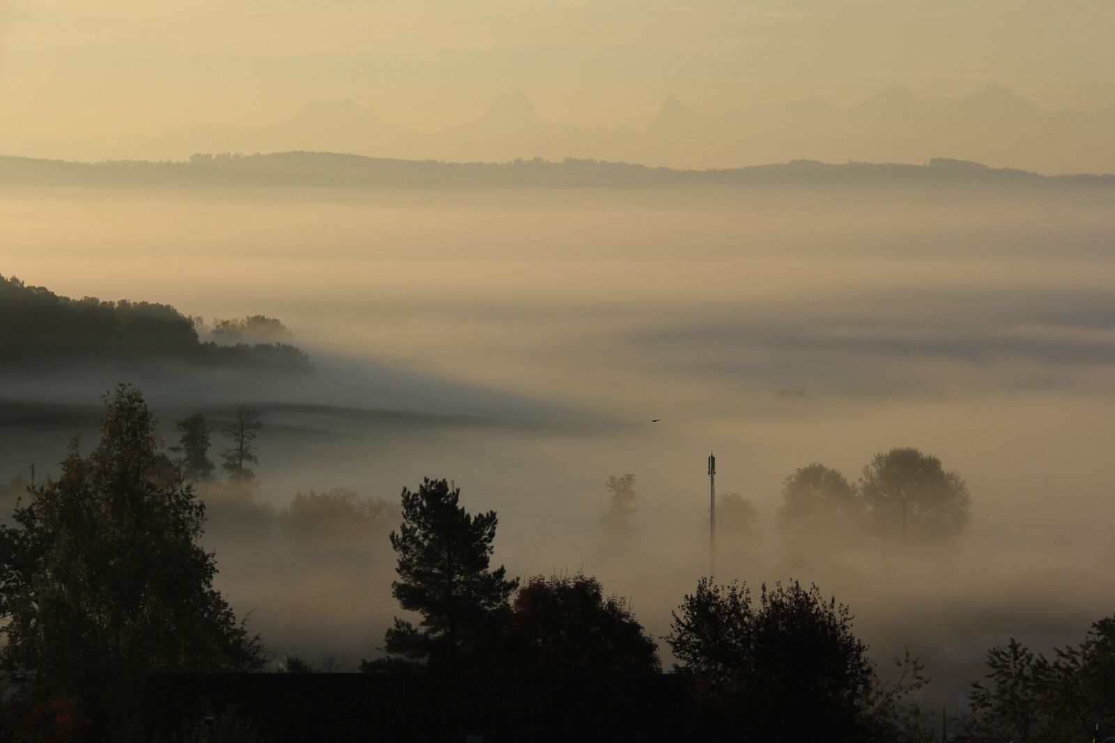 Canon EOS 60D sample photo. Fog, mist, nature photography