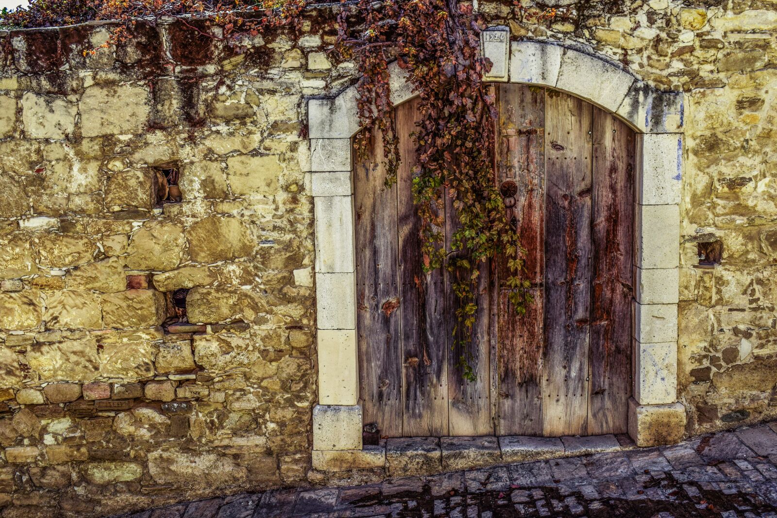 Nikon D3300 sample photo. Gate, door, entrance photography