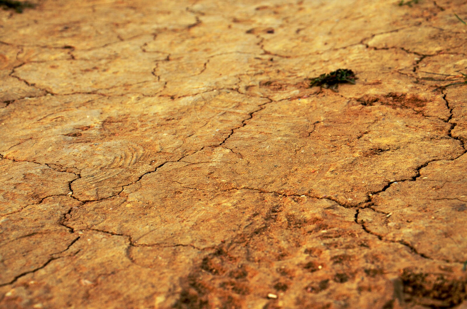 Nikon D5100 sample photo