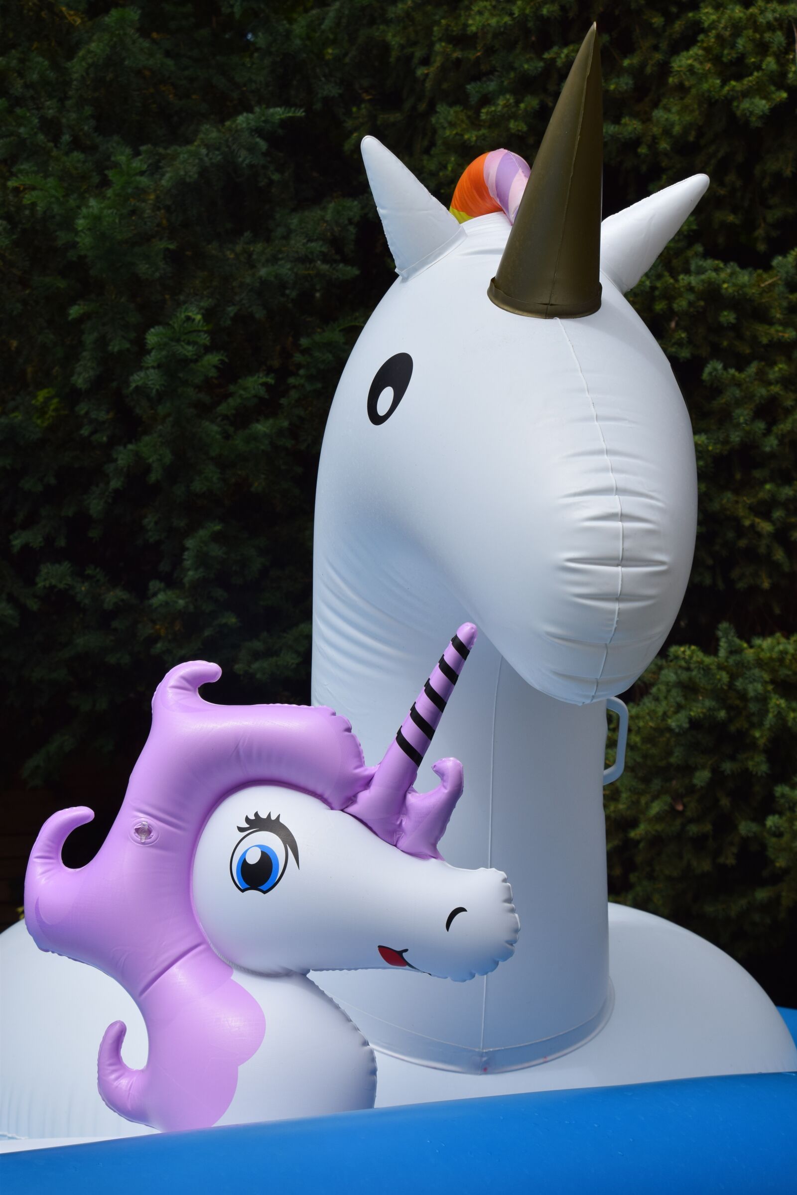 Nikon D5300 sample photo. Unicorn, two horn, three photography