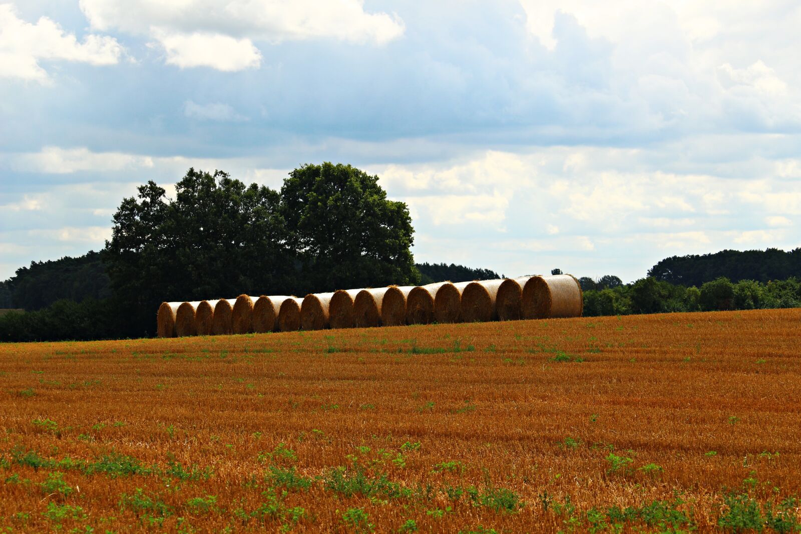 Canon EOS 100D (EOS Rebel SL1 / EOS Kiss X7) sample photo. Straw bales, straw, field photography