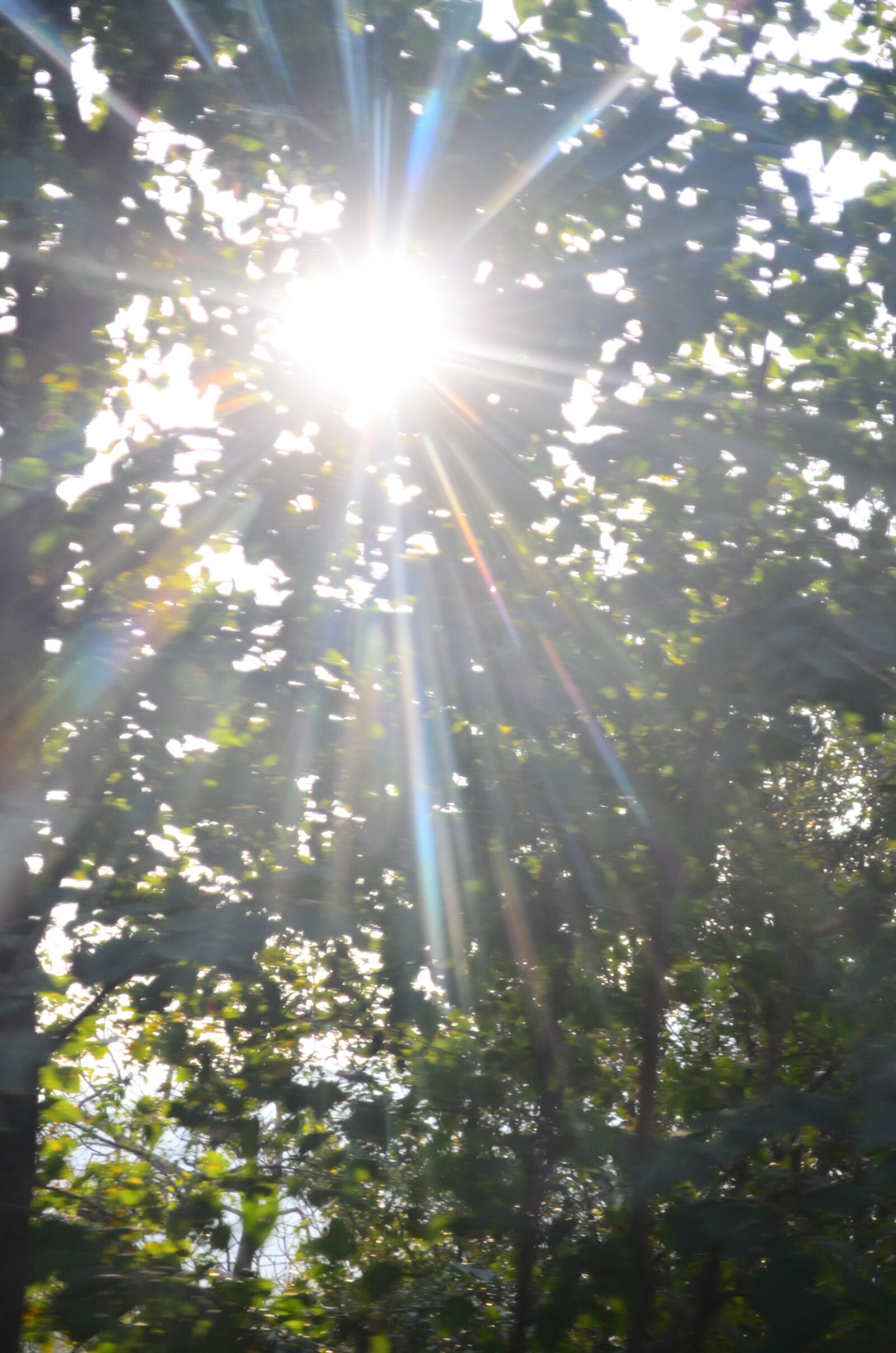 Nikon D5100 sample photo. People, nature, landscape photography