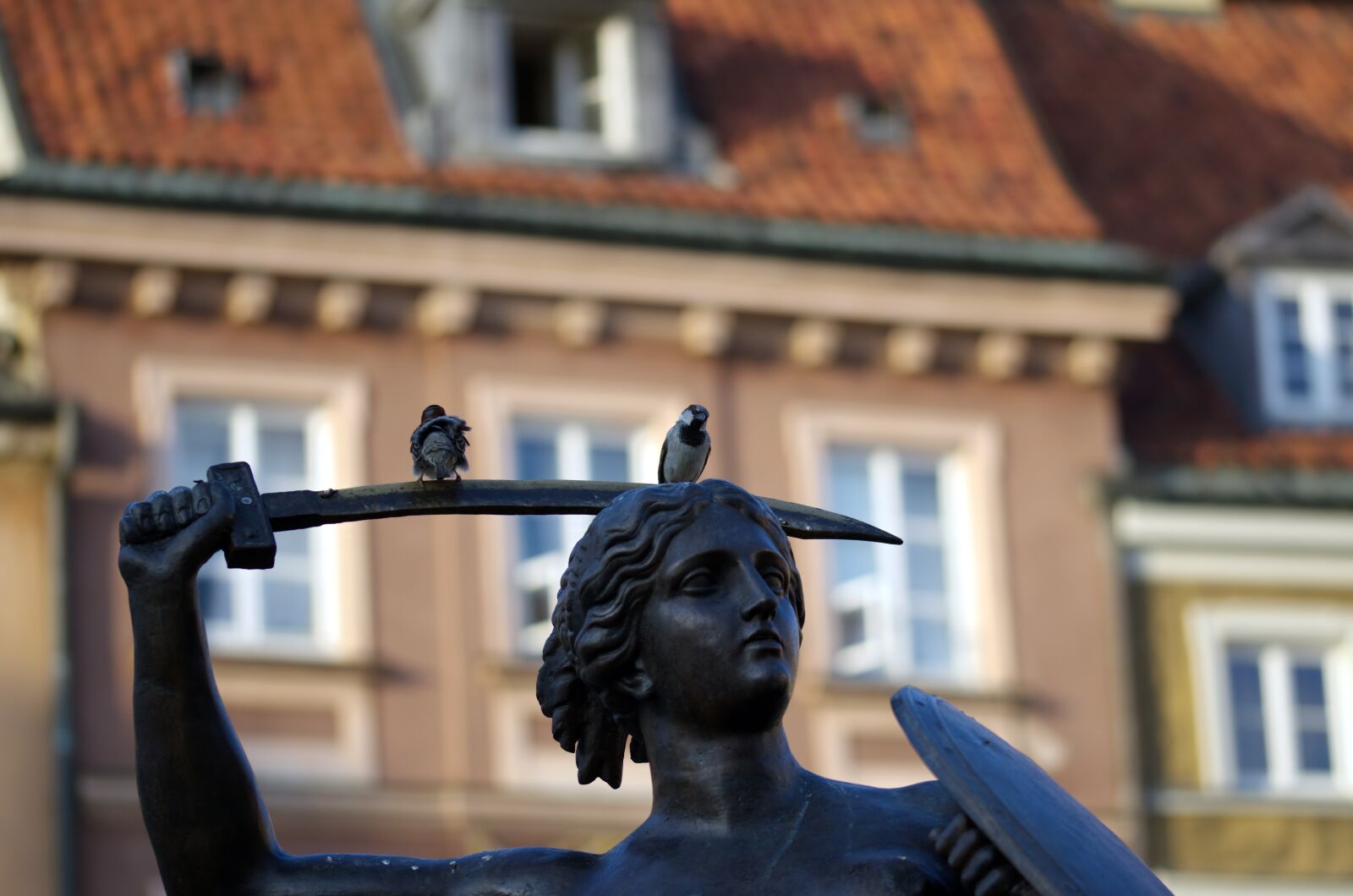 Nikon D5100 sample photo. Sparrow, name, statue photography