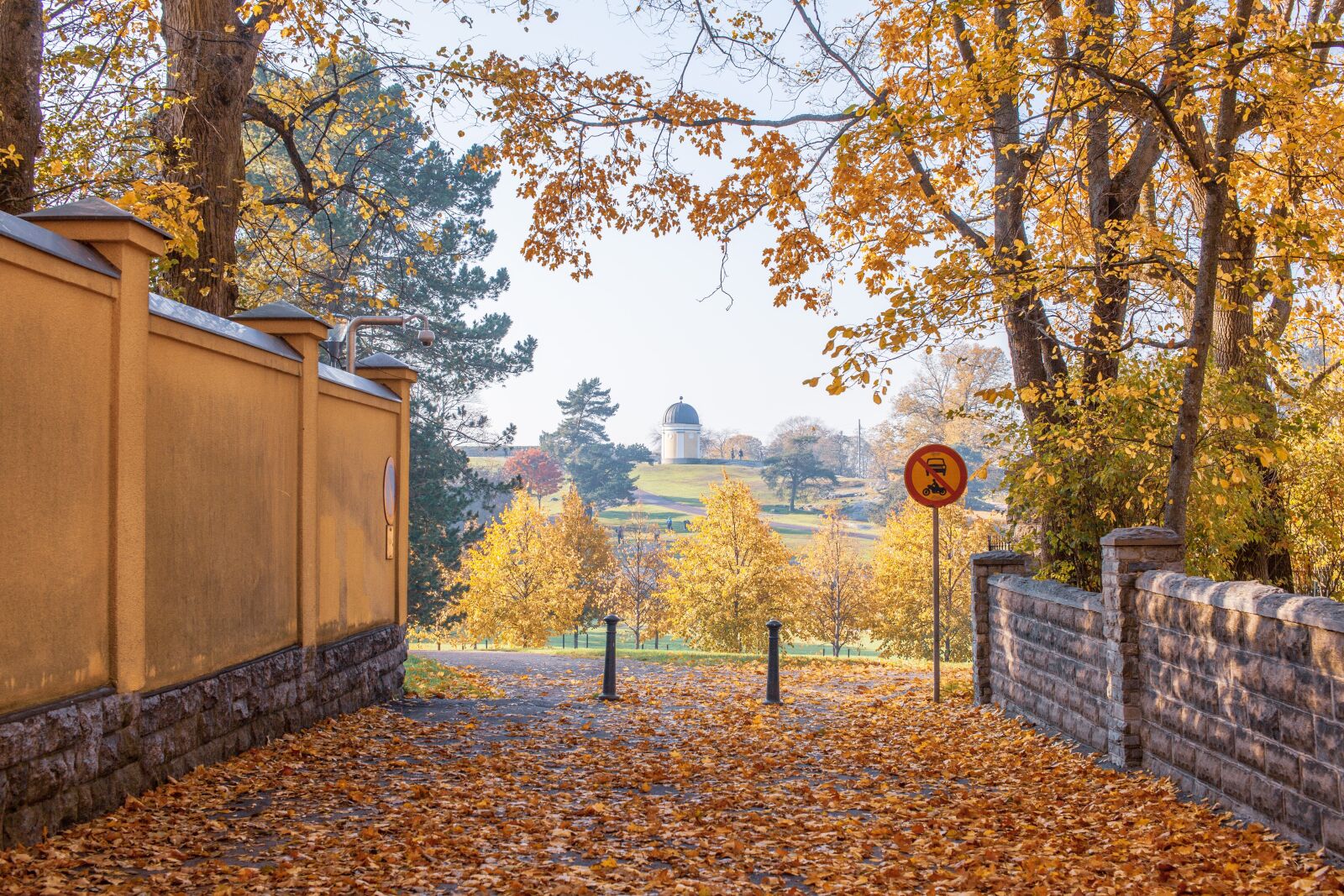 Canon EOS 5D Mark II sample photo. Fall, autumn, leaves photography