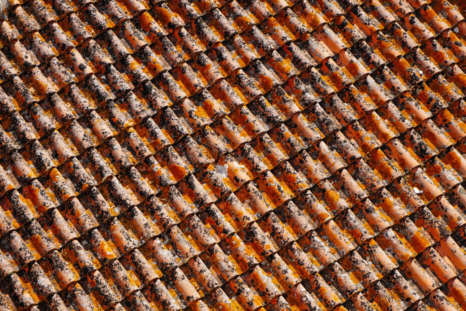 Sony a6000 sample photo. Dirty, pattern, roof photography
