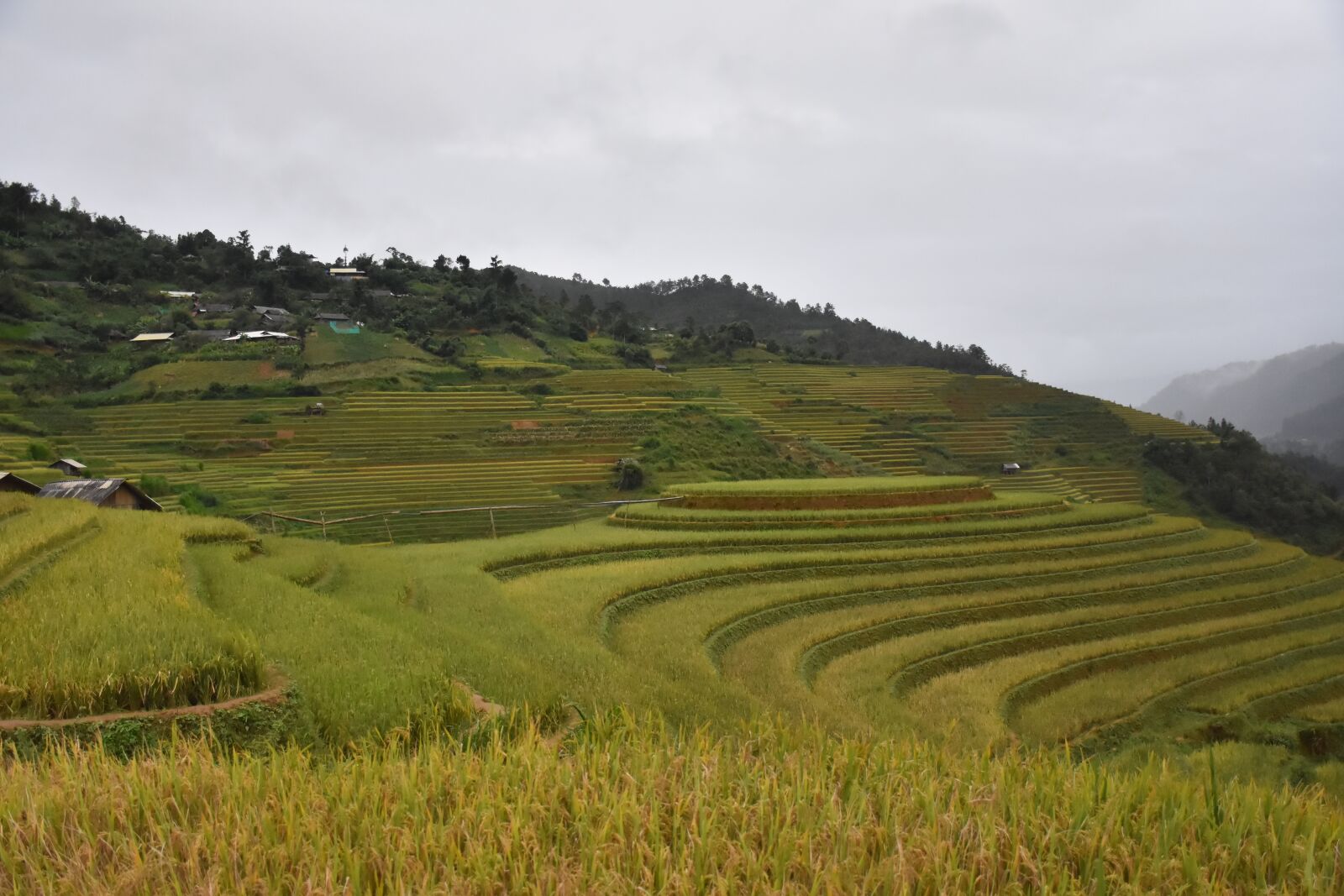 Nikon D7200 sample photo. Mountains, field, valley photography
