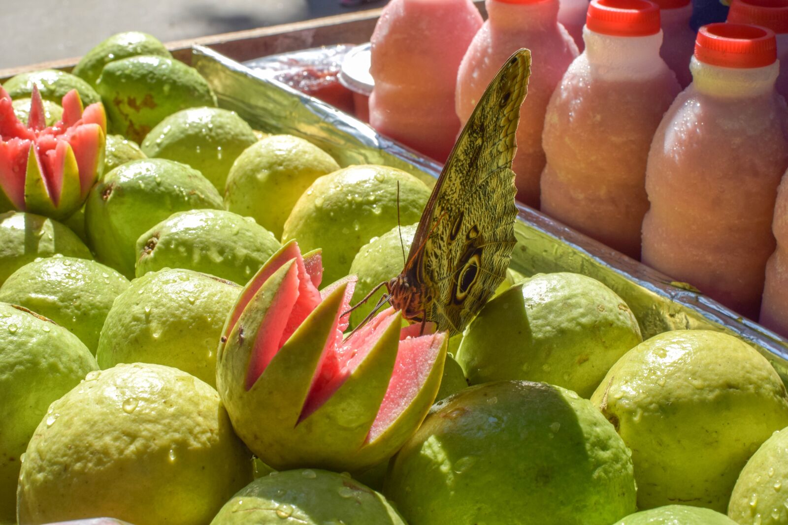 Nikon D5300 sample photo. Butterfly, fruit, nature photography