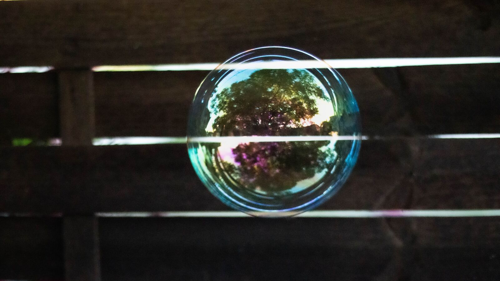 Canon EOS 70D + Canon EF 50mm F1.8 STM sample photo. Bubble, green, bubbles photography