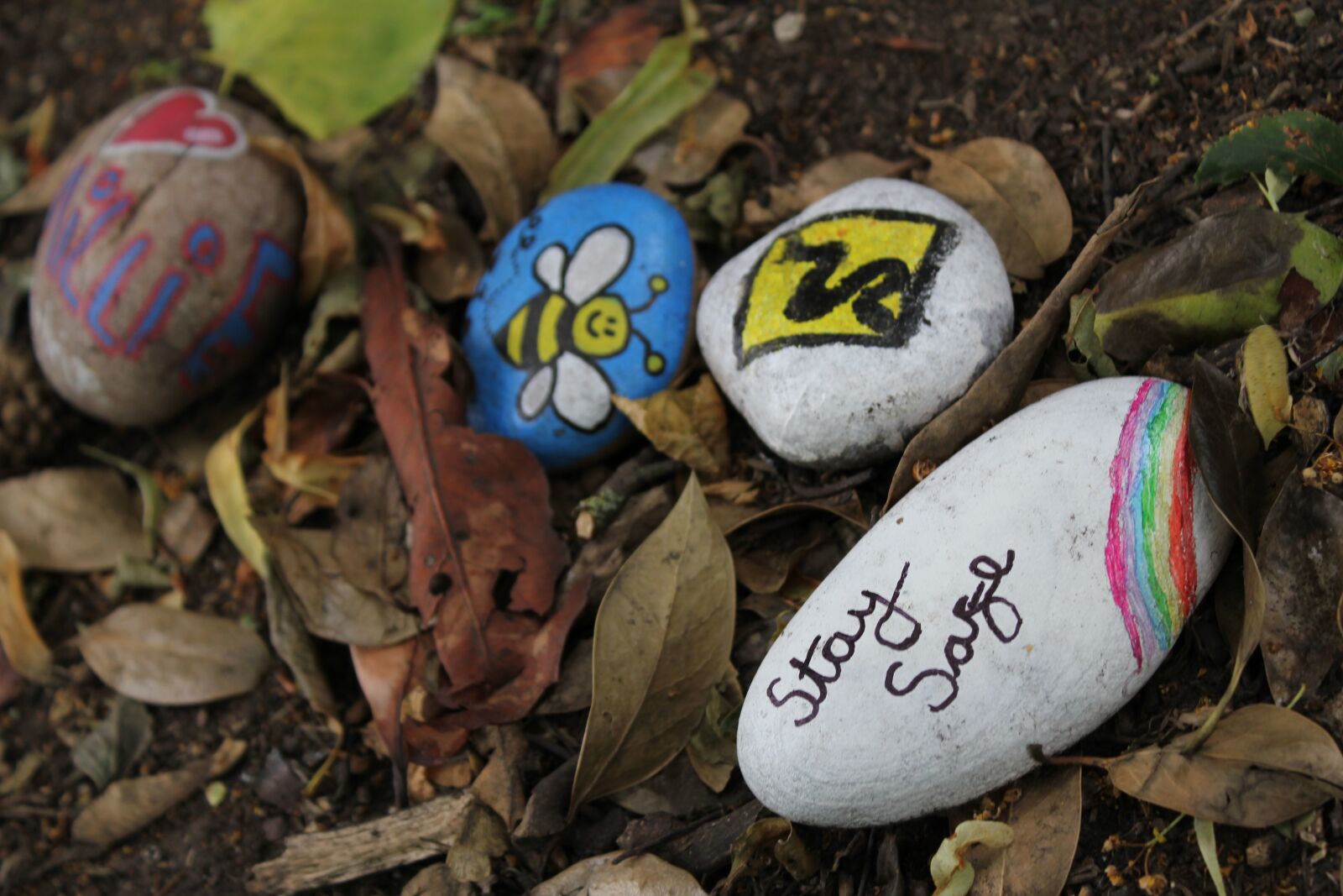 Canon EOS 60D sample photo. Stay safe, pepple drawing photography