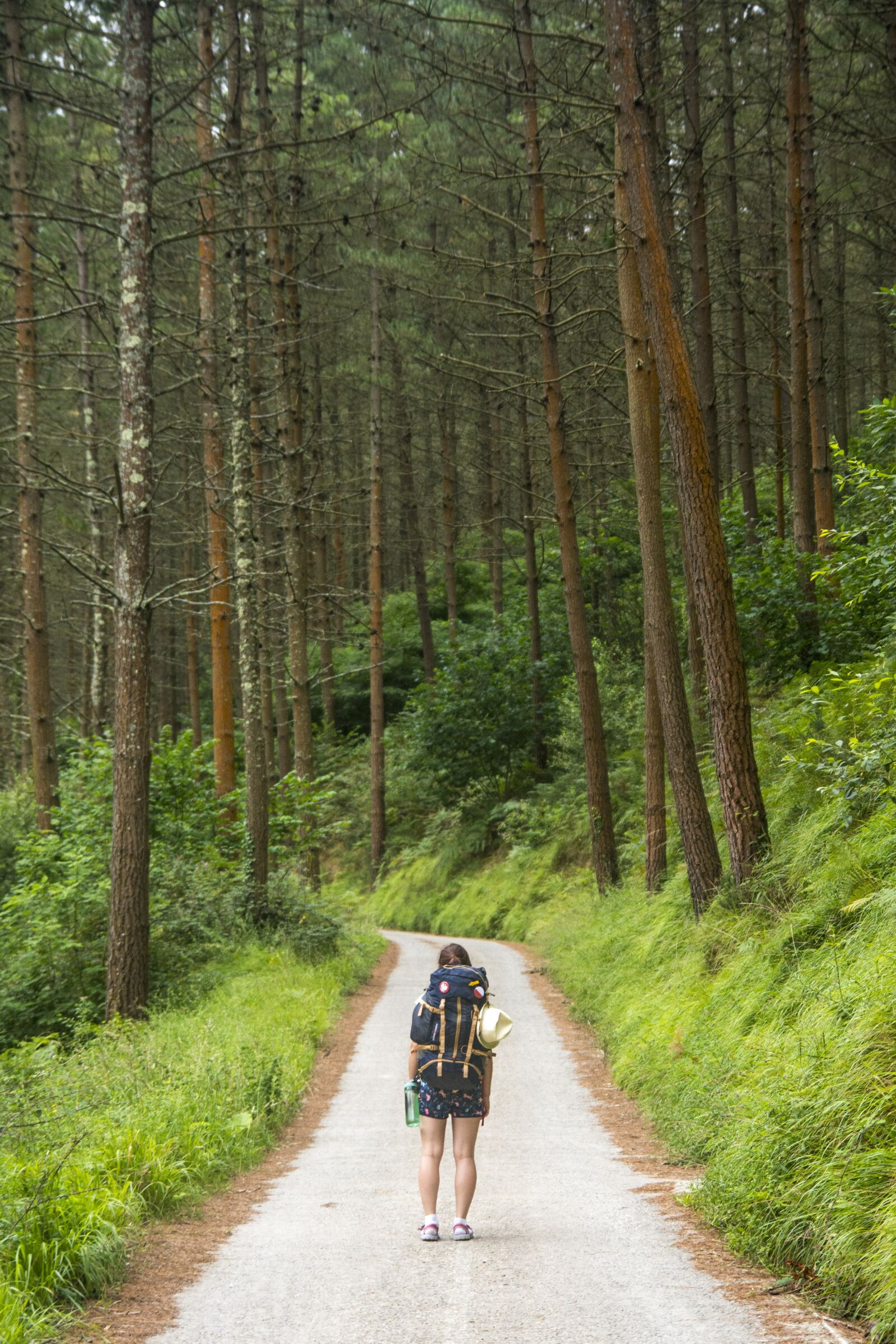 Nikon D7100 sample photo. Tourism, traveler, nature photography