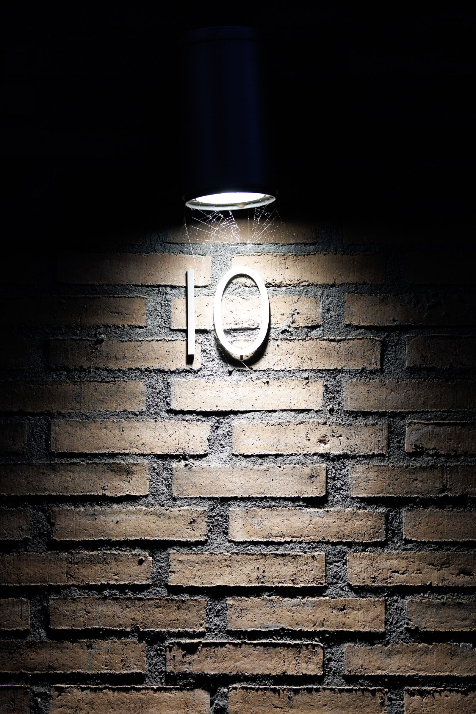 Canon EOS R1 sample photo. Ten for light photography