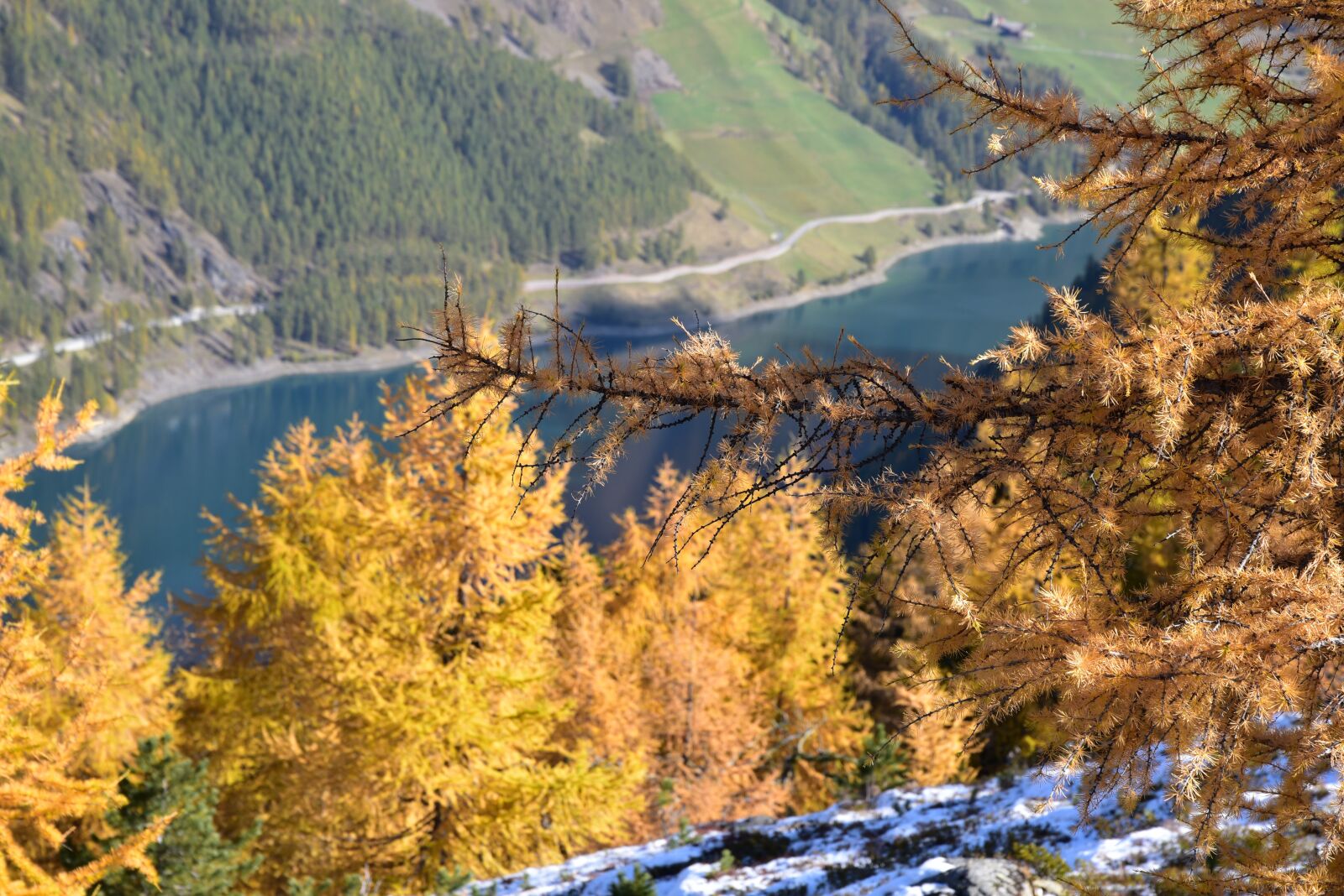 Nikon D750 sample photo. Vernagtsee, val senales, autumn photography