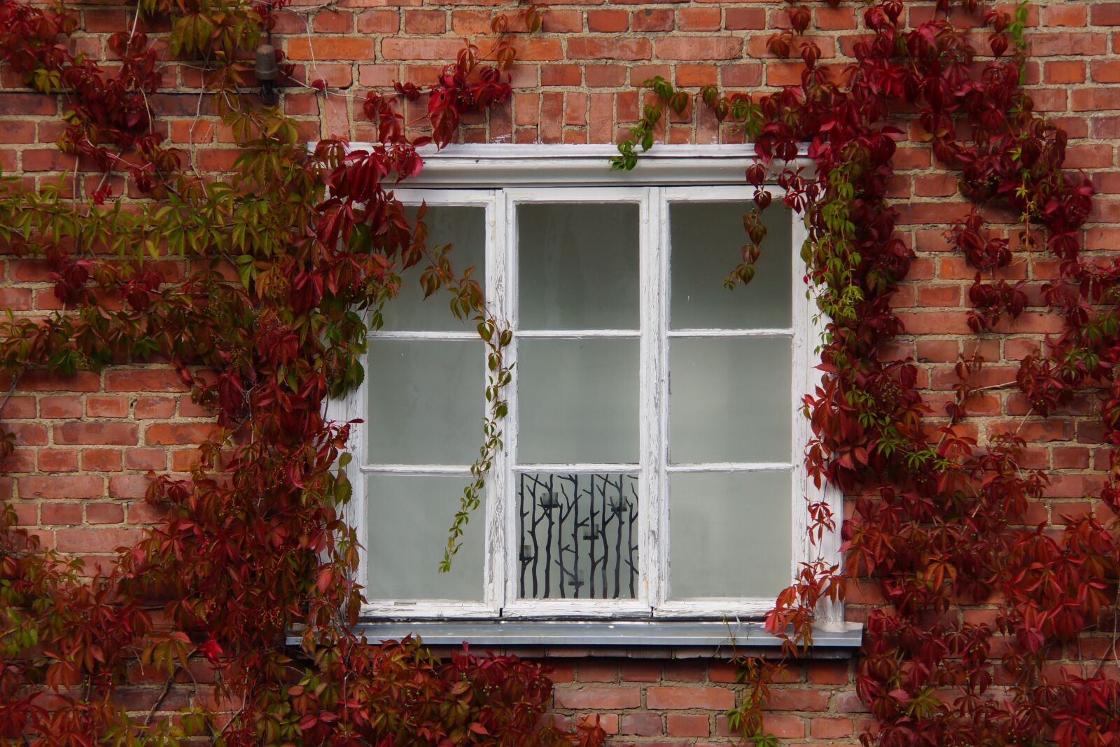 Sony Alpha NEX-7 sample photo. House, window, architecture photography