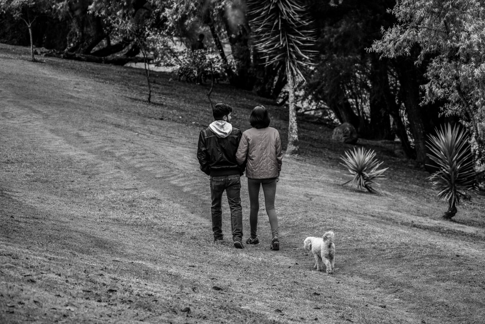 Nikon D3400 sample photo. People, park, black and photography