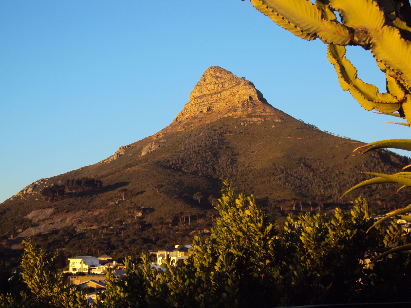 Sony DSC-W180 sample photo. Lions head, cape town photography
