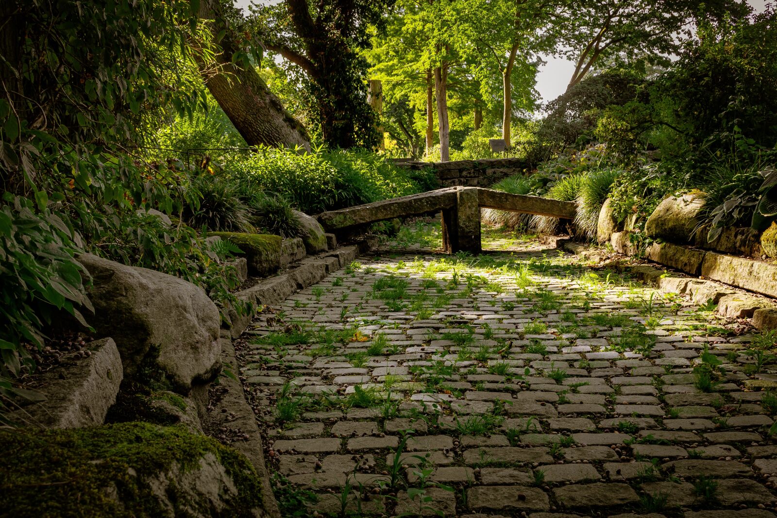 Canon EOS 700D (EOS Rebel T5i / EOS Kiss X7i) sample photo. Garden, stone garden, green photography