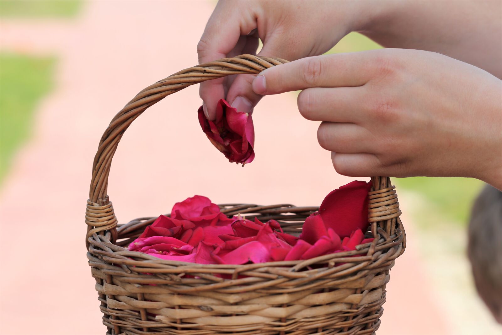 Canon EF 70-300 F4-5.6 IS II USM sample photo. Corpus christi feast, basket photography