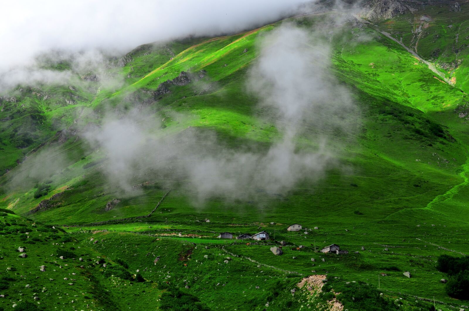 Nikon D5100 sample photo. Nature, landscape, kaçkars photography
