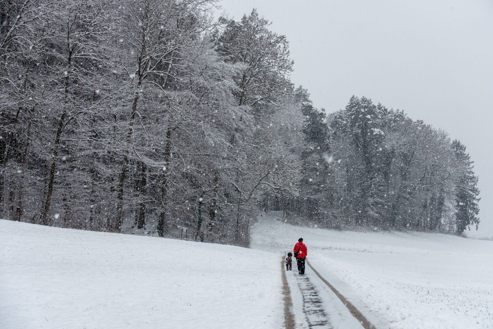 Sony Cyber-shot DSC-RX100 III sample photo. Snow, landscape, winter photography