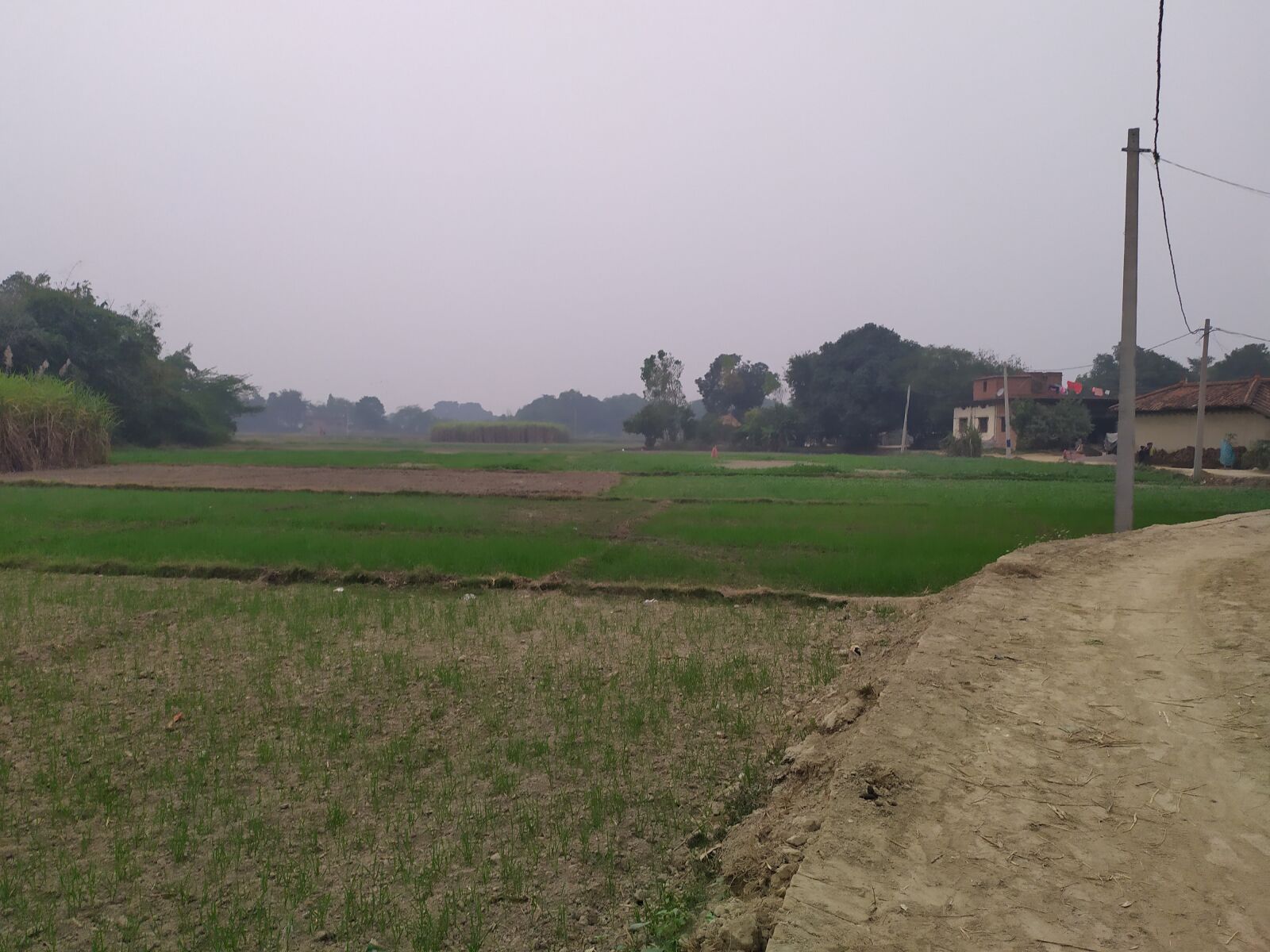Xiaomi Redmi Note 7 sample photo. Village road, pathway, nature photography