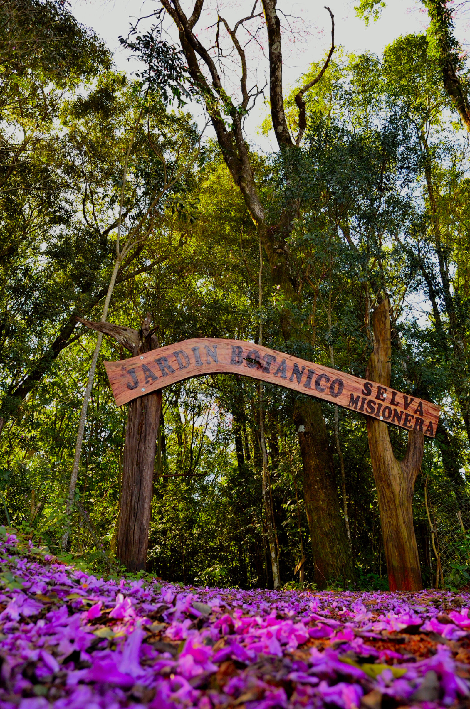 Nikon D5100 sample photo