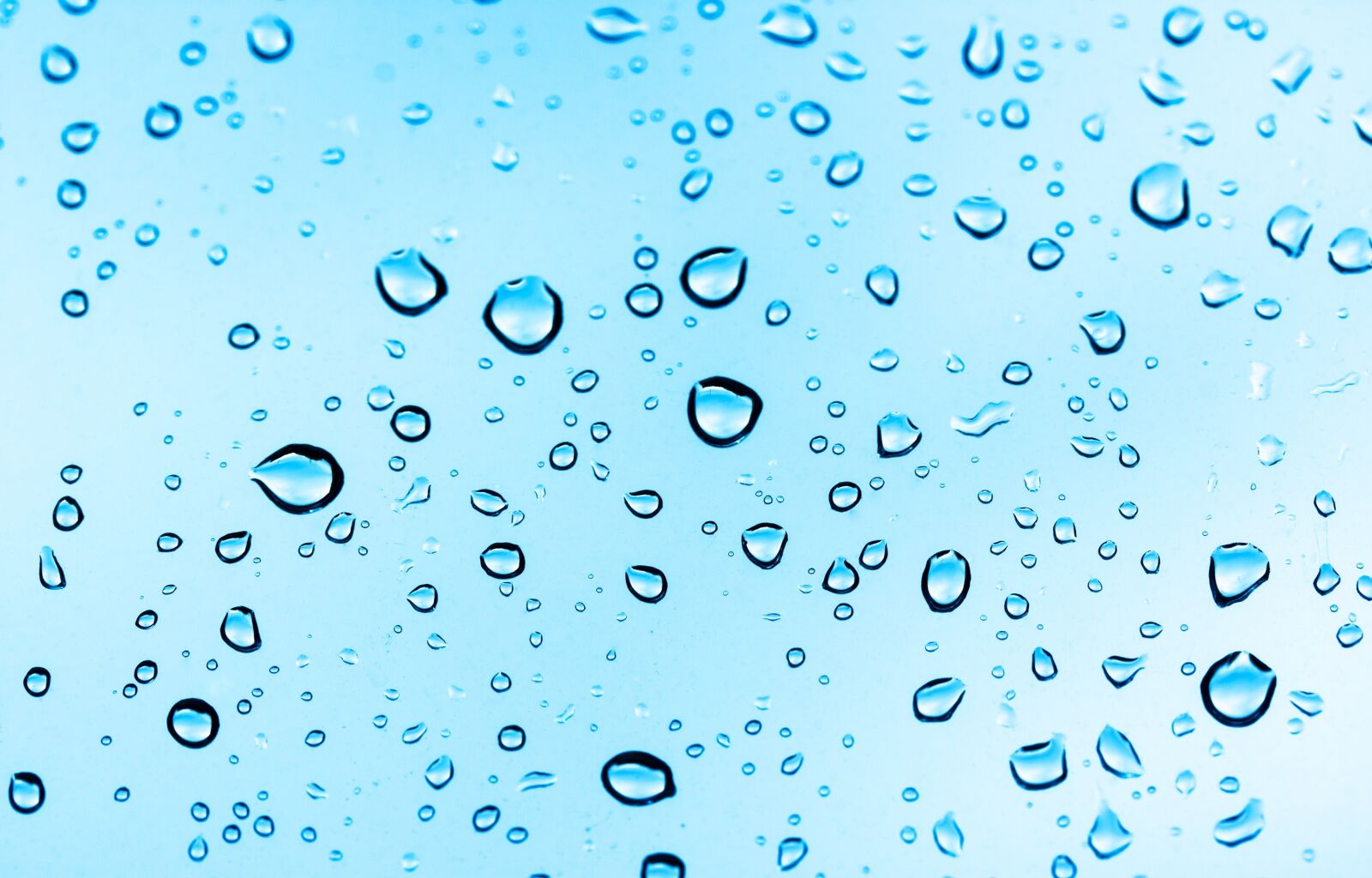 Canon EOS 500D (EOS Rebel T1i / EOS Kiss X3) sample photo. Drops, water, pane photography
