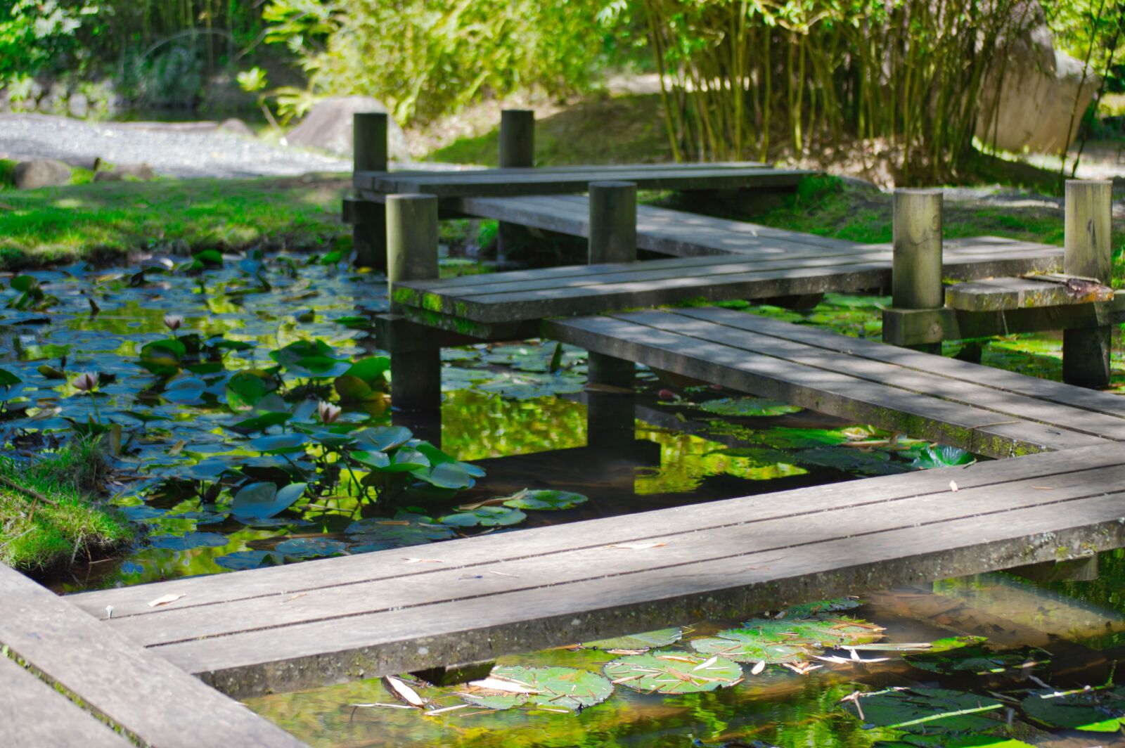 Nikon D3200 sample photo. Cartago, costa rica, pond photography