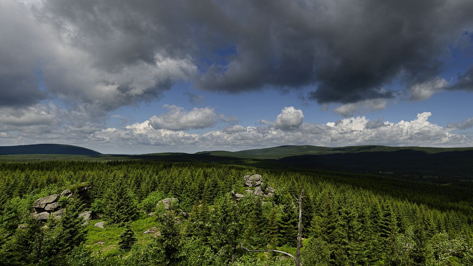 Nikon D5100 sample photo. Panorama, jizera mountains, the photography