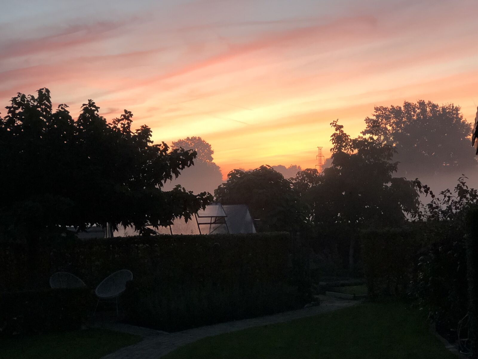 iPhone 8 Plus back dual camera 6.6mm f/2.8 sample photo. Brand, dawn, garden photography