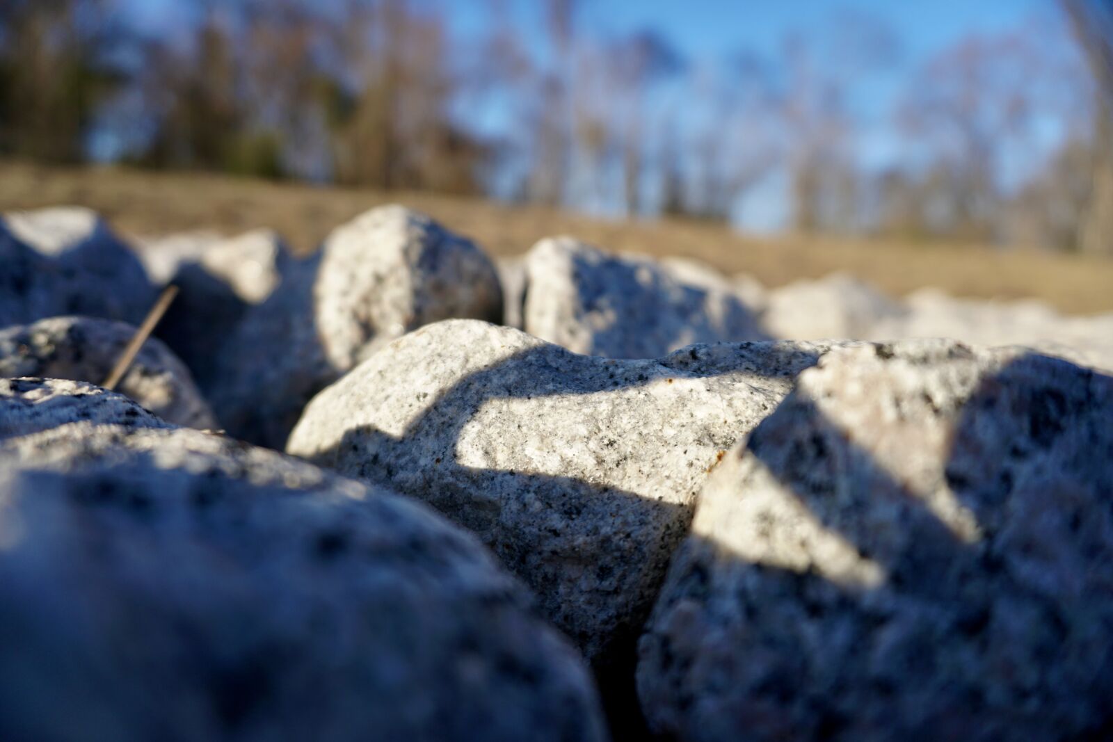 Sony a6500 sample photo