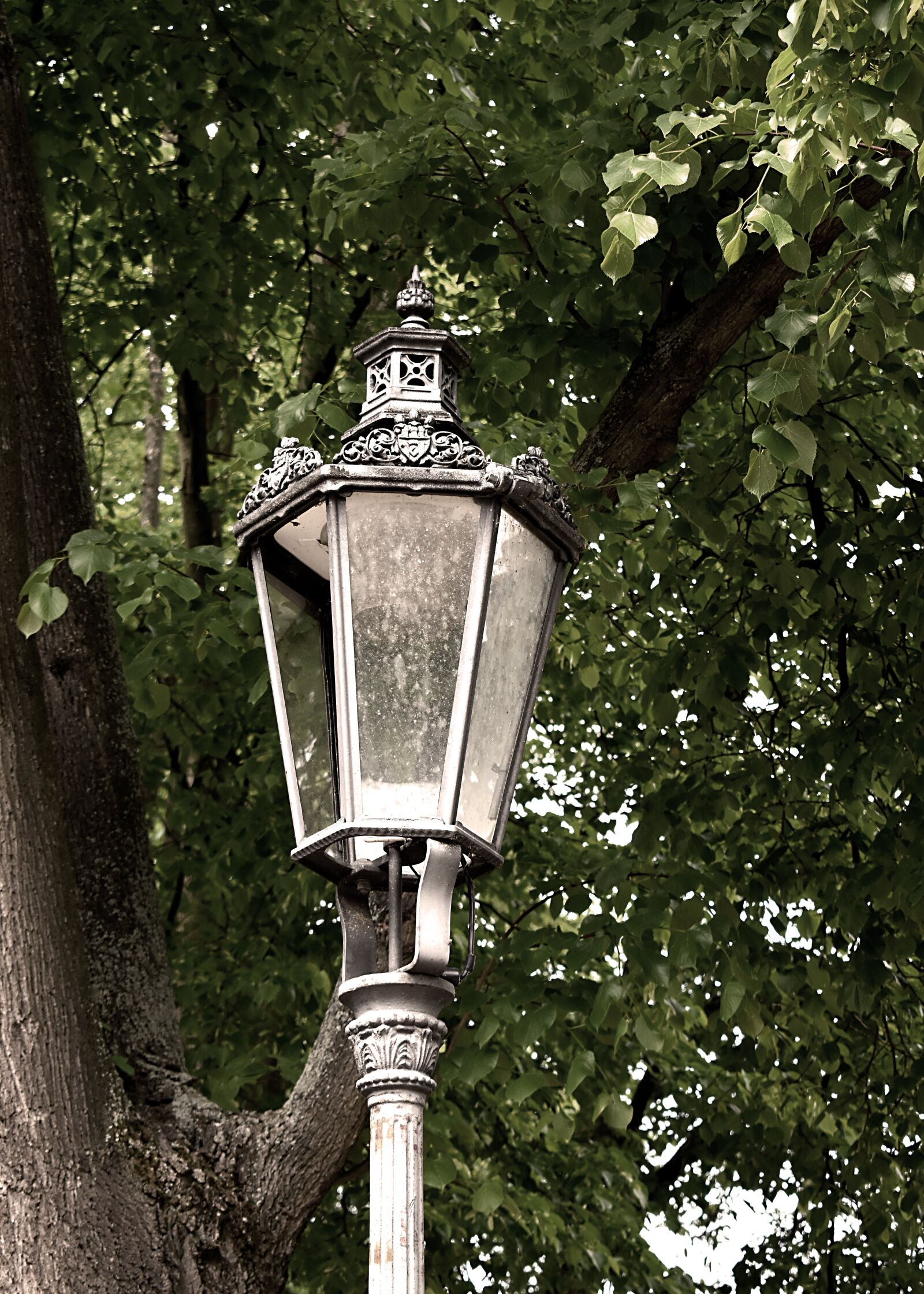 Nikon D3500 sample photo. Lamp, light, old photography